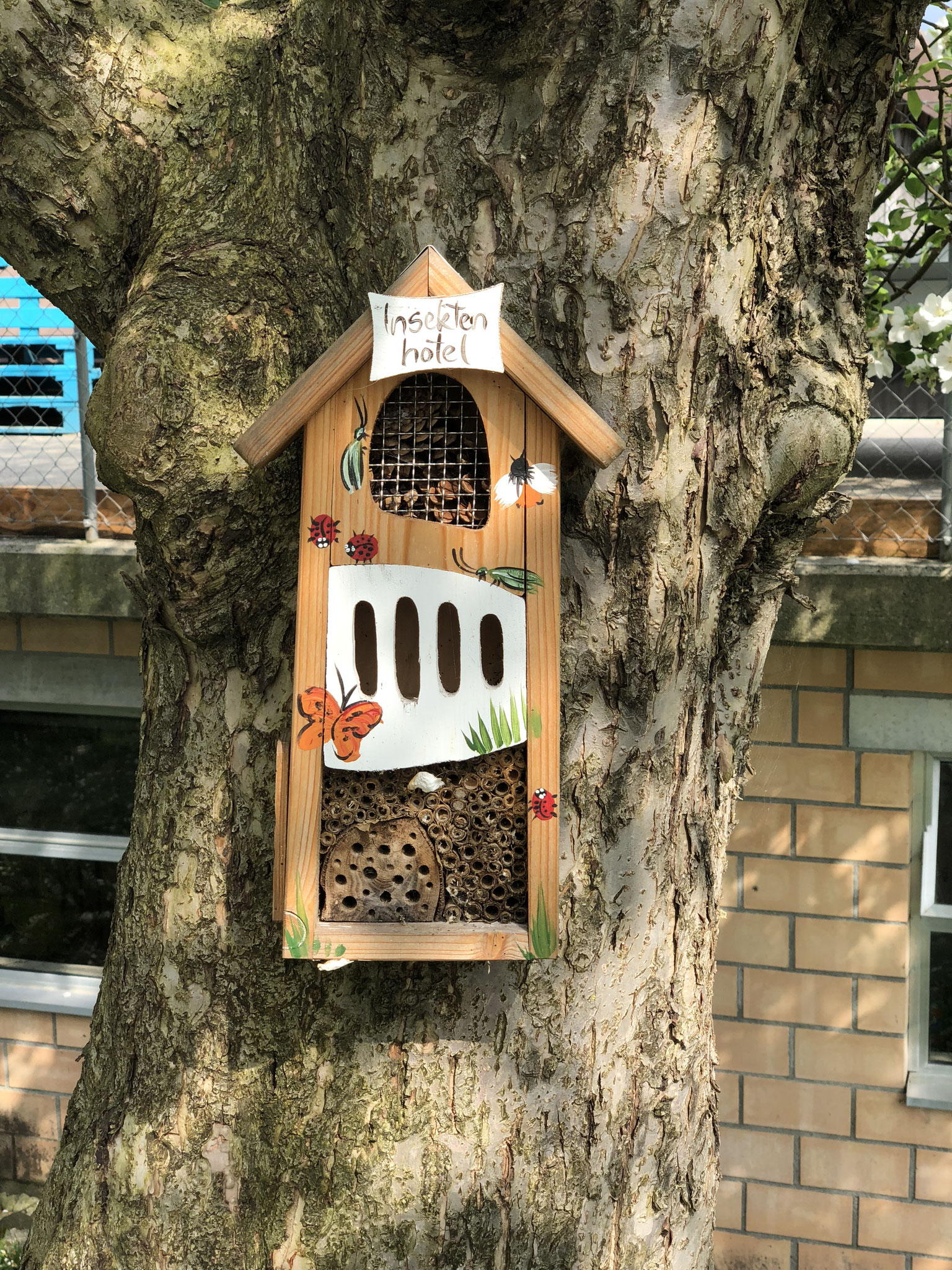 Auch kleinen Insekten bieten wir ein zu Hause