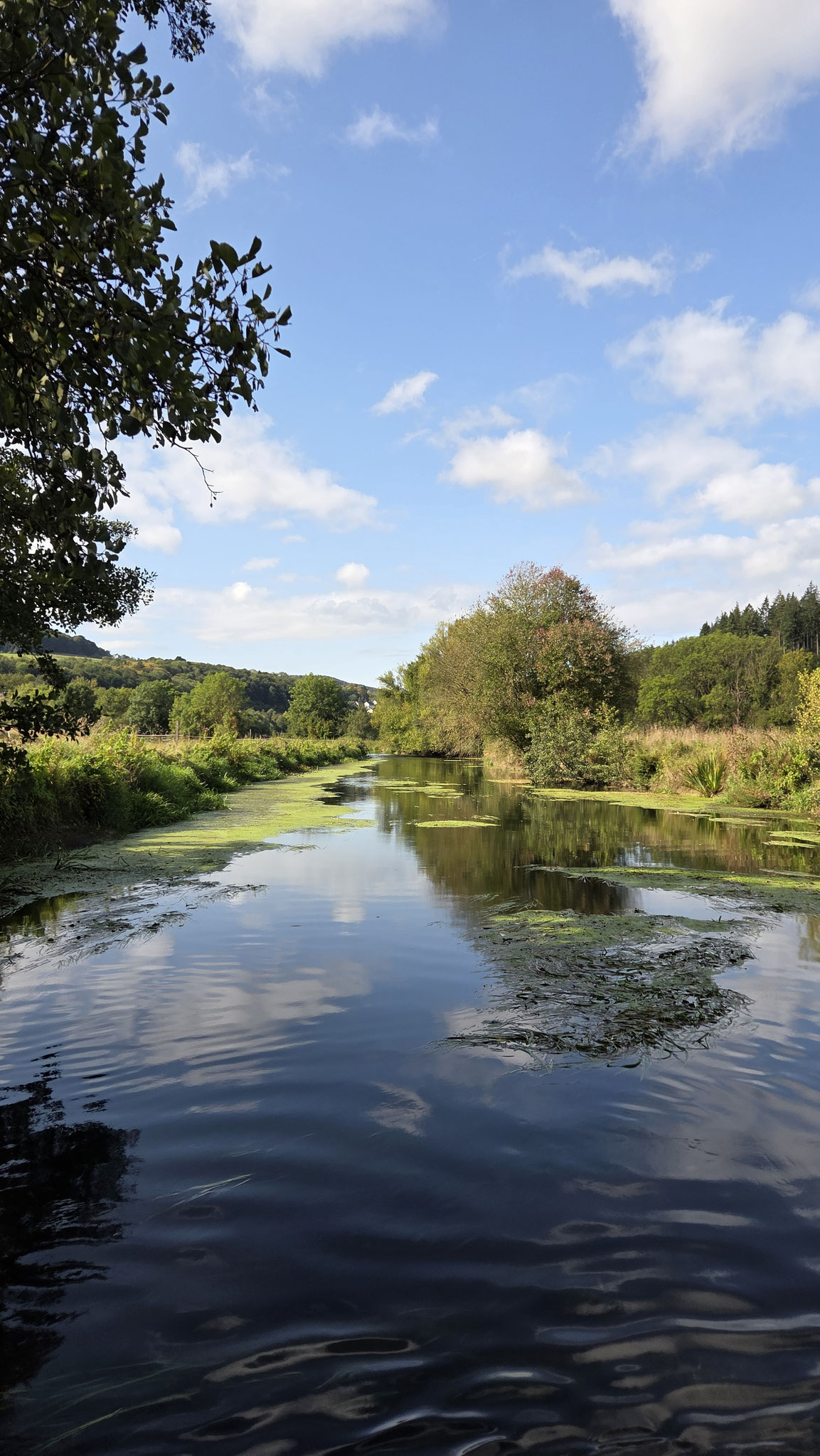 Am Mühlenwehr in Welsede (Hille, 2025)