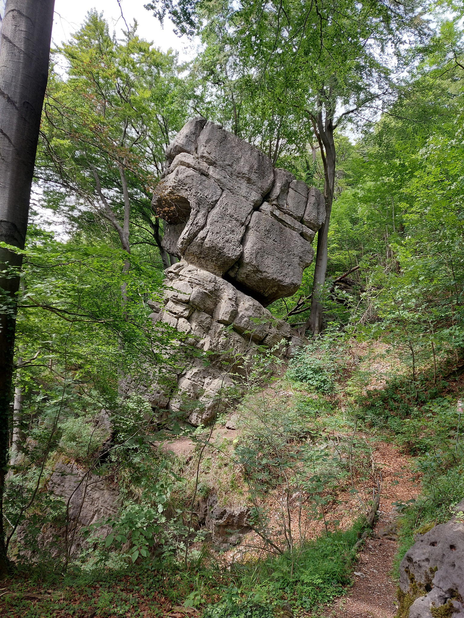 Der Lochturm an den Bisperoder Klippen (Hille, 2023)