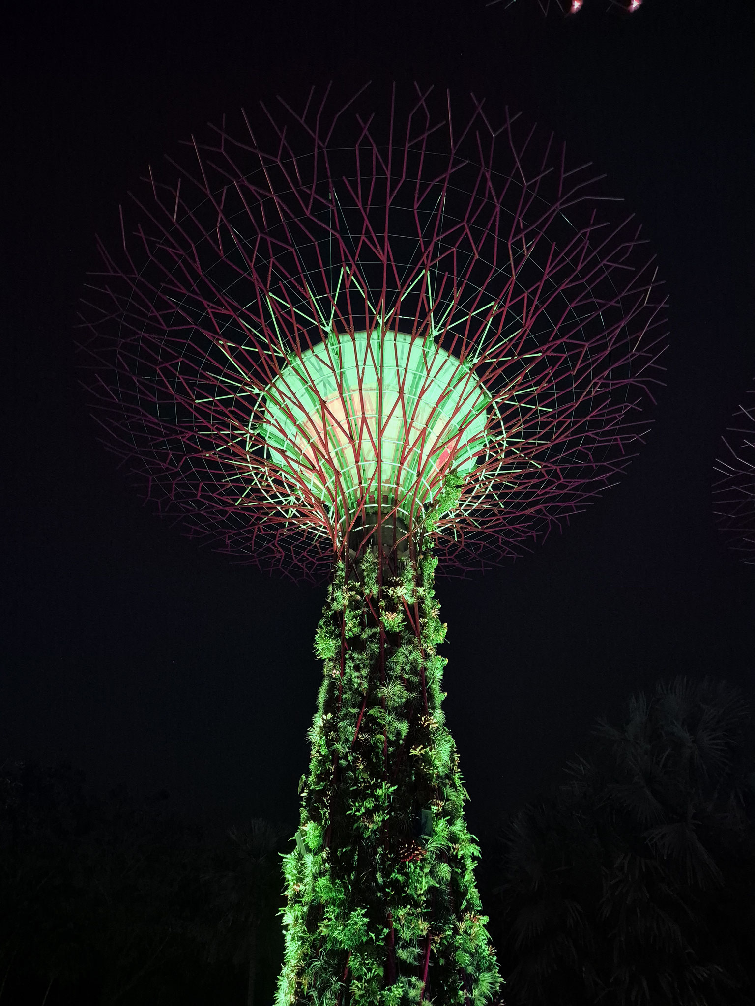 📍Supertree Grove