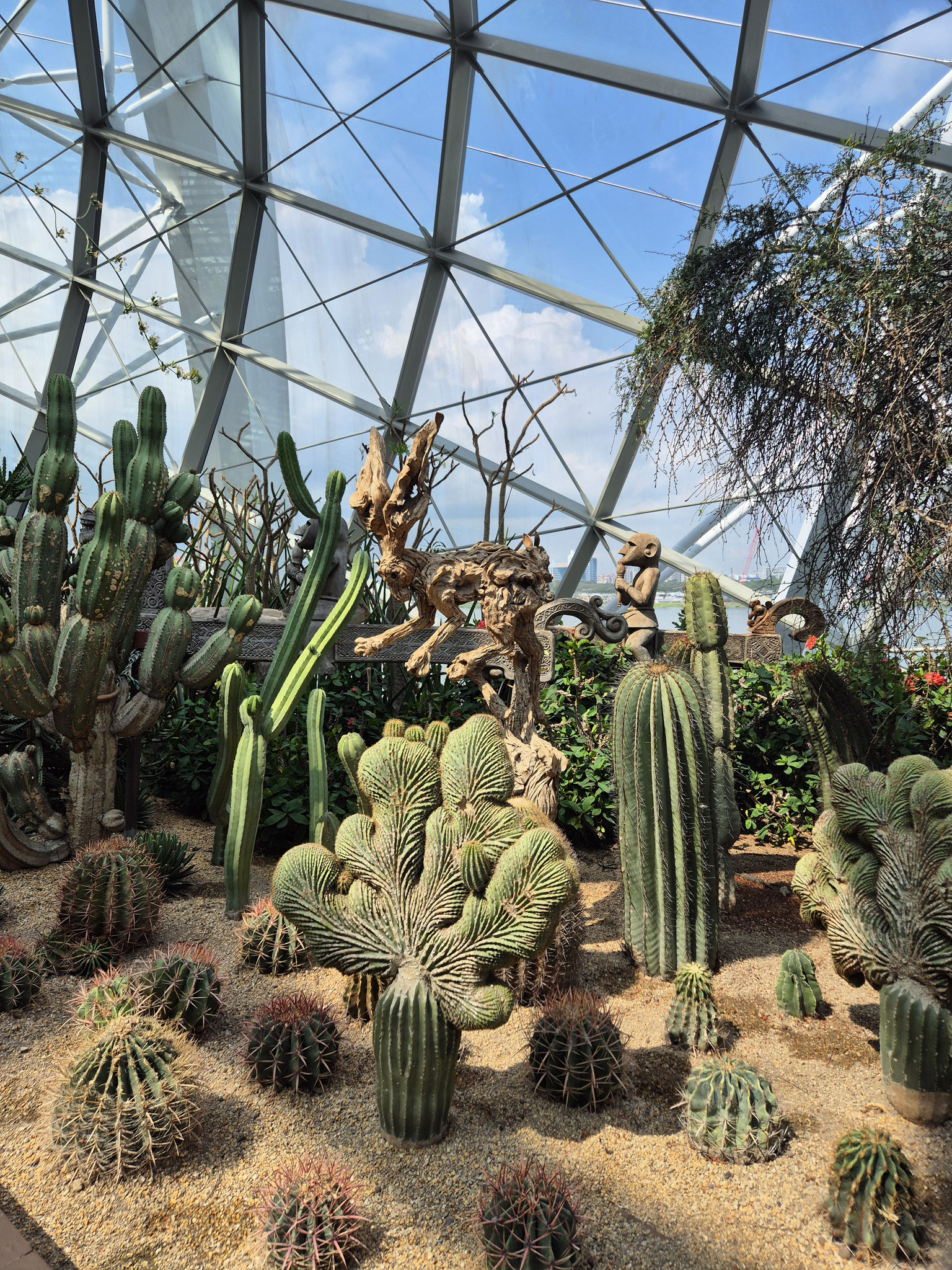 📍Flower Dome