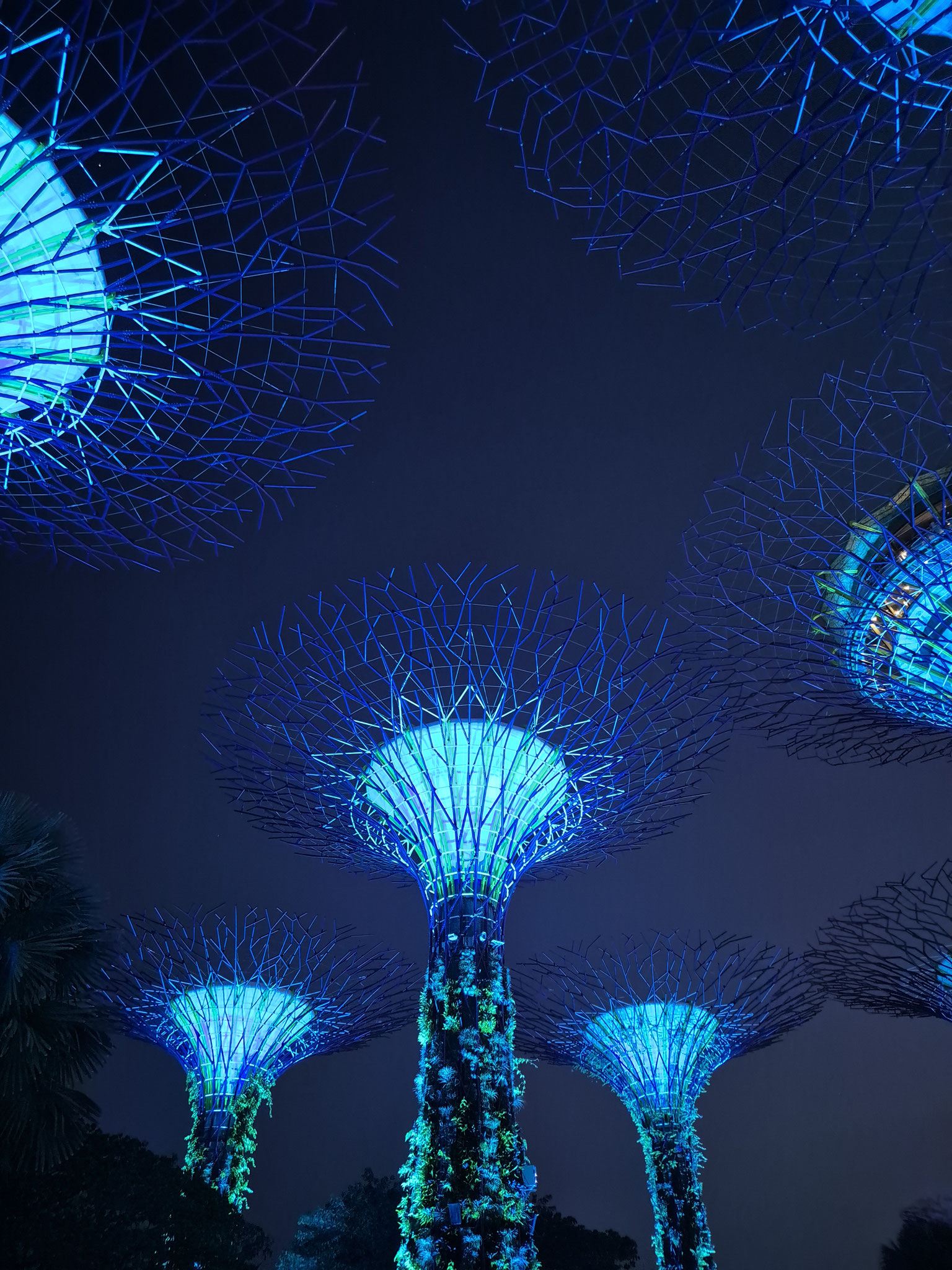 📍Supertree Grove