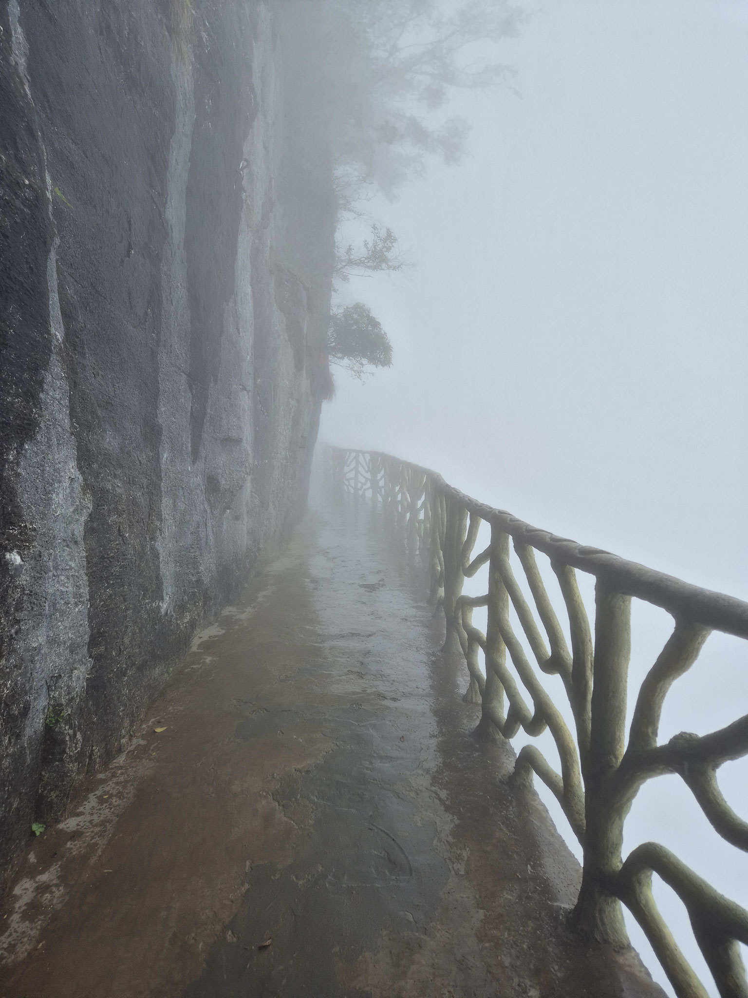 📍Tianmen Mountain 🙈