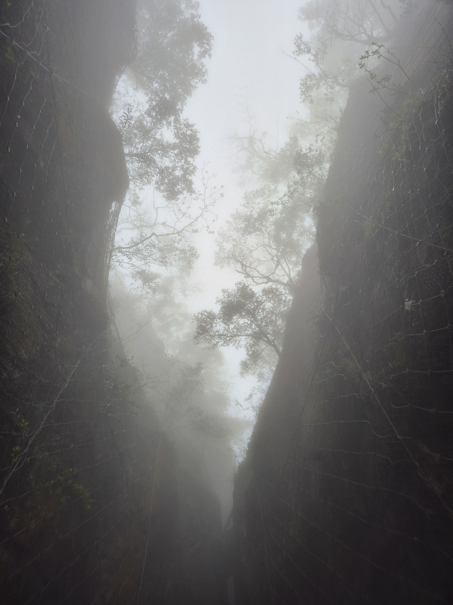 📍Tianmen Mountain 🙈