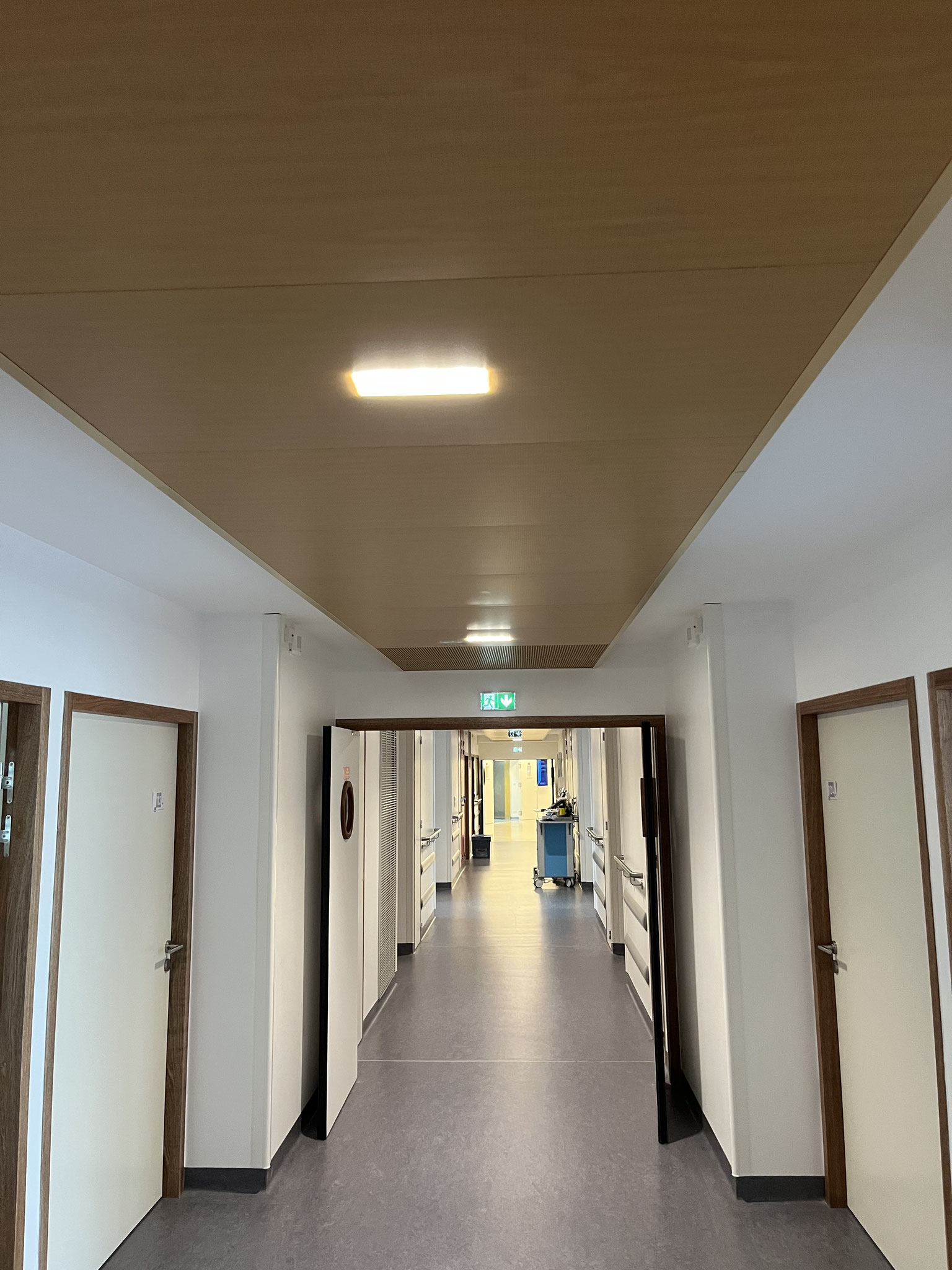 Dubosc platrerie Plafond dalle décorative effet bois milieu hospitalier ARES