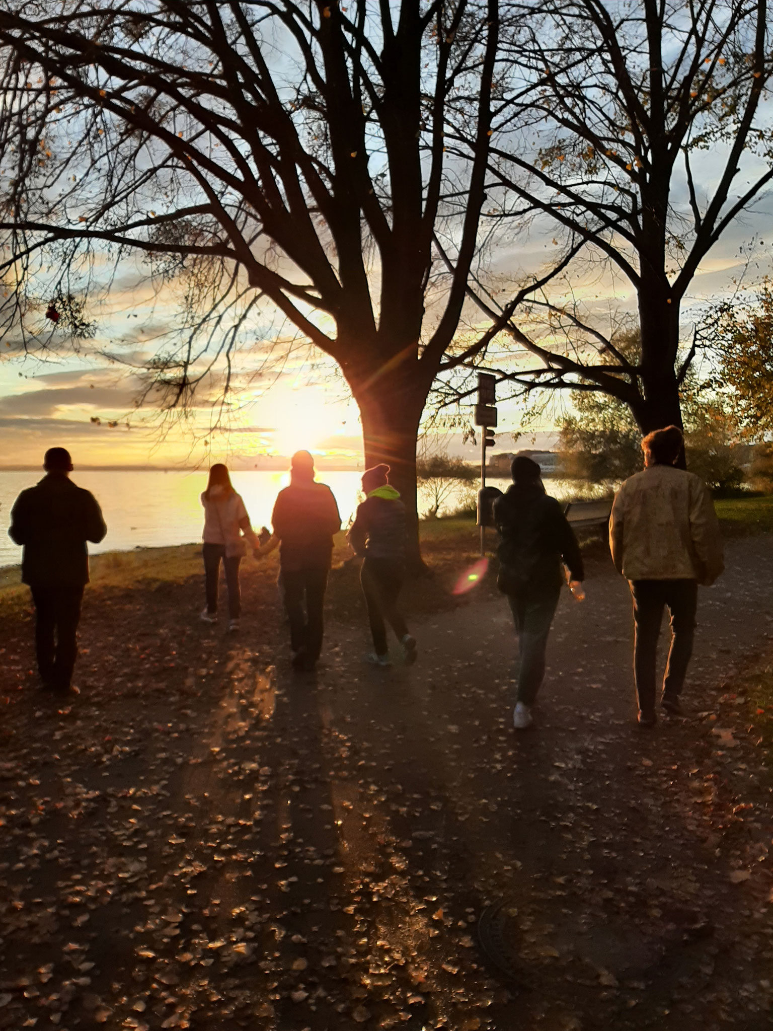 Sunset by lake constance