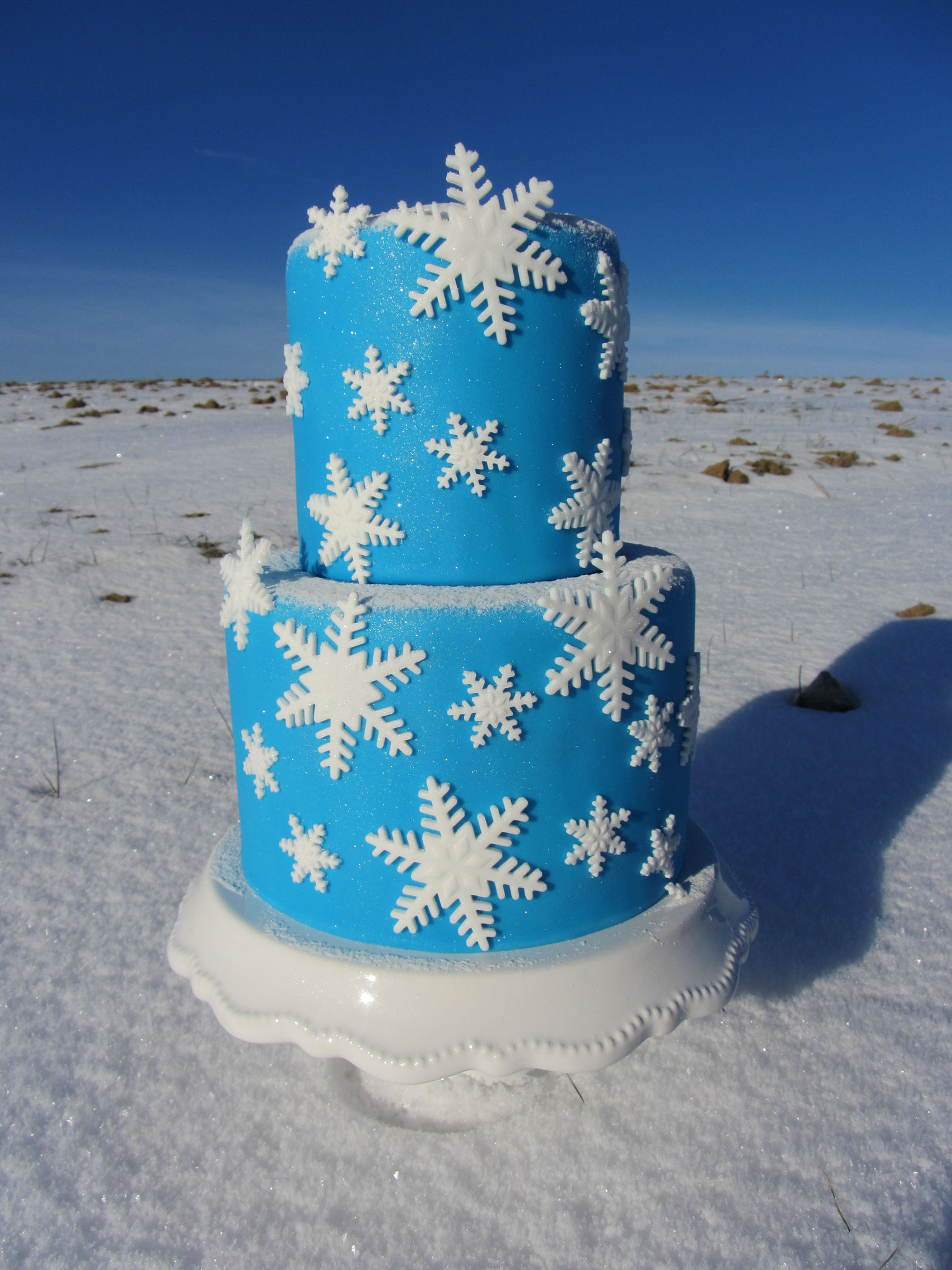 Wintertraumtorte