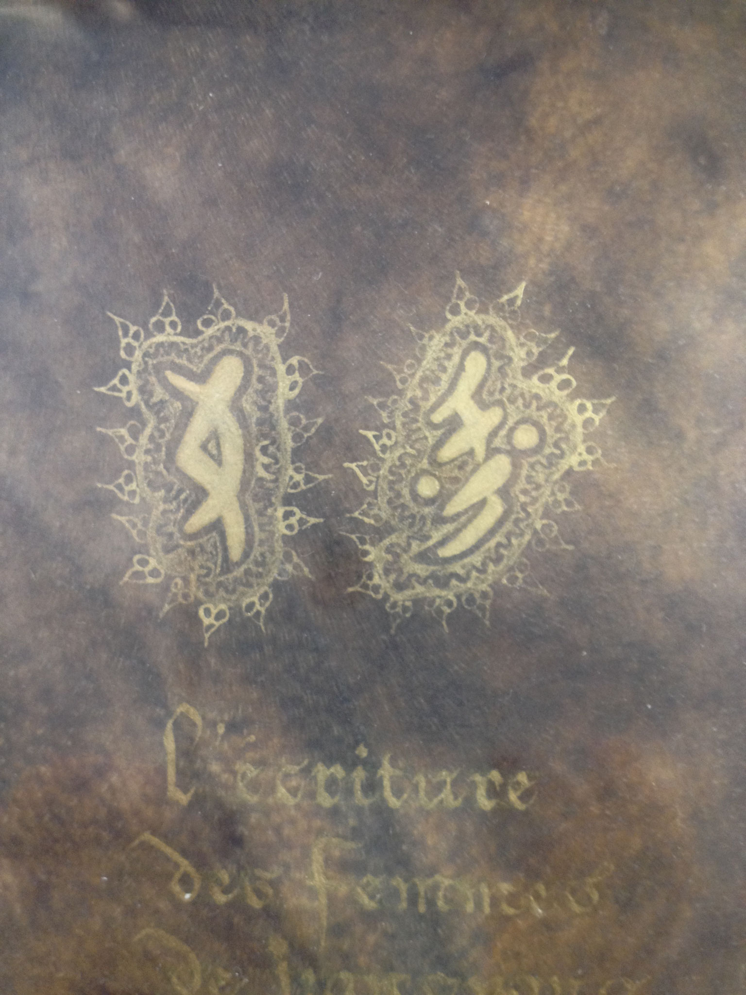 L'écriture nüshu mise en lumière