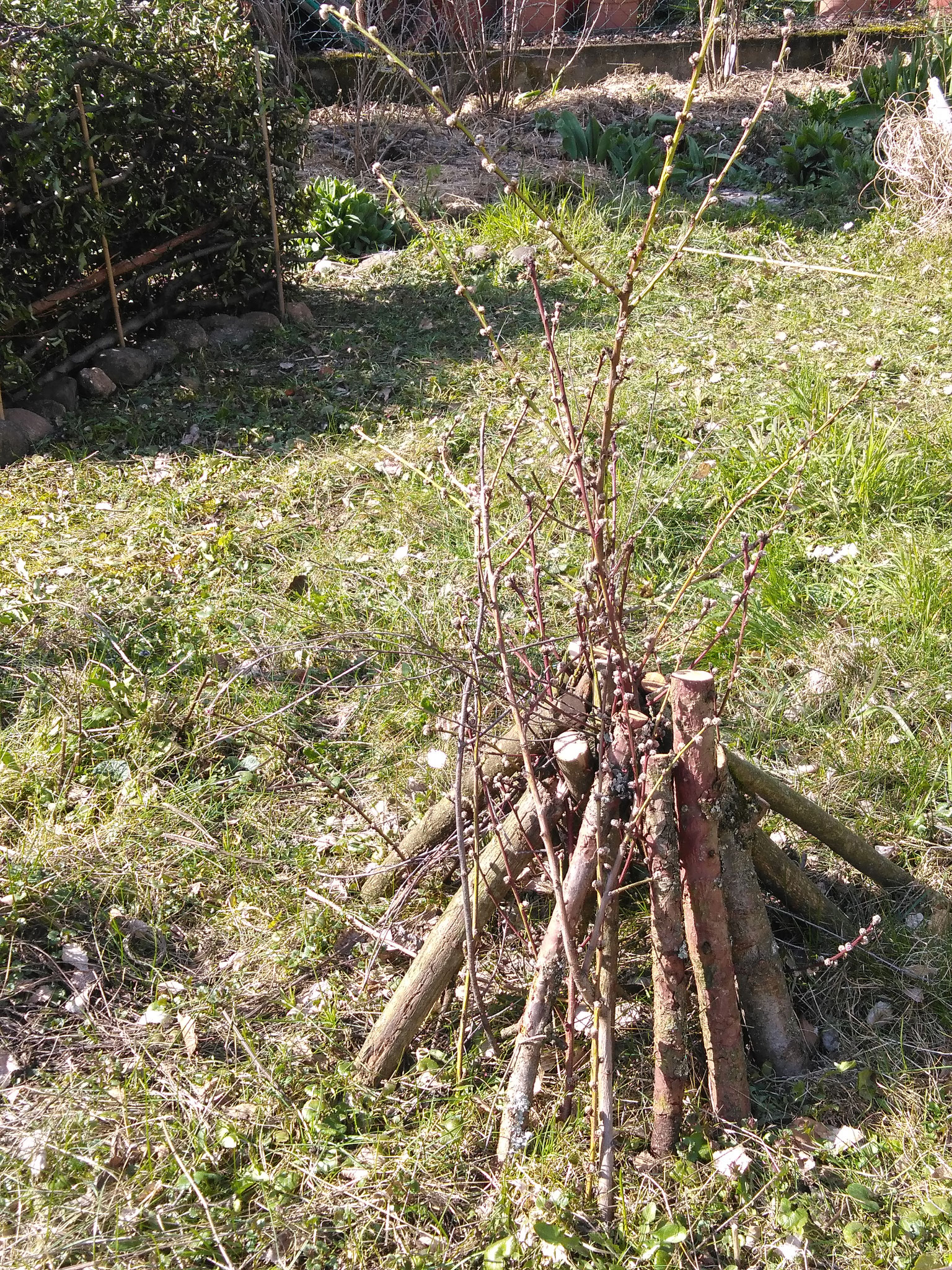 Schritt 5: bis das Tipi groß genug ist! Fertig!