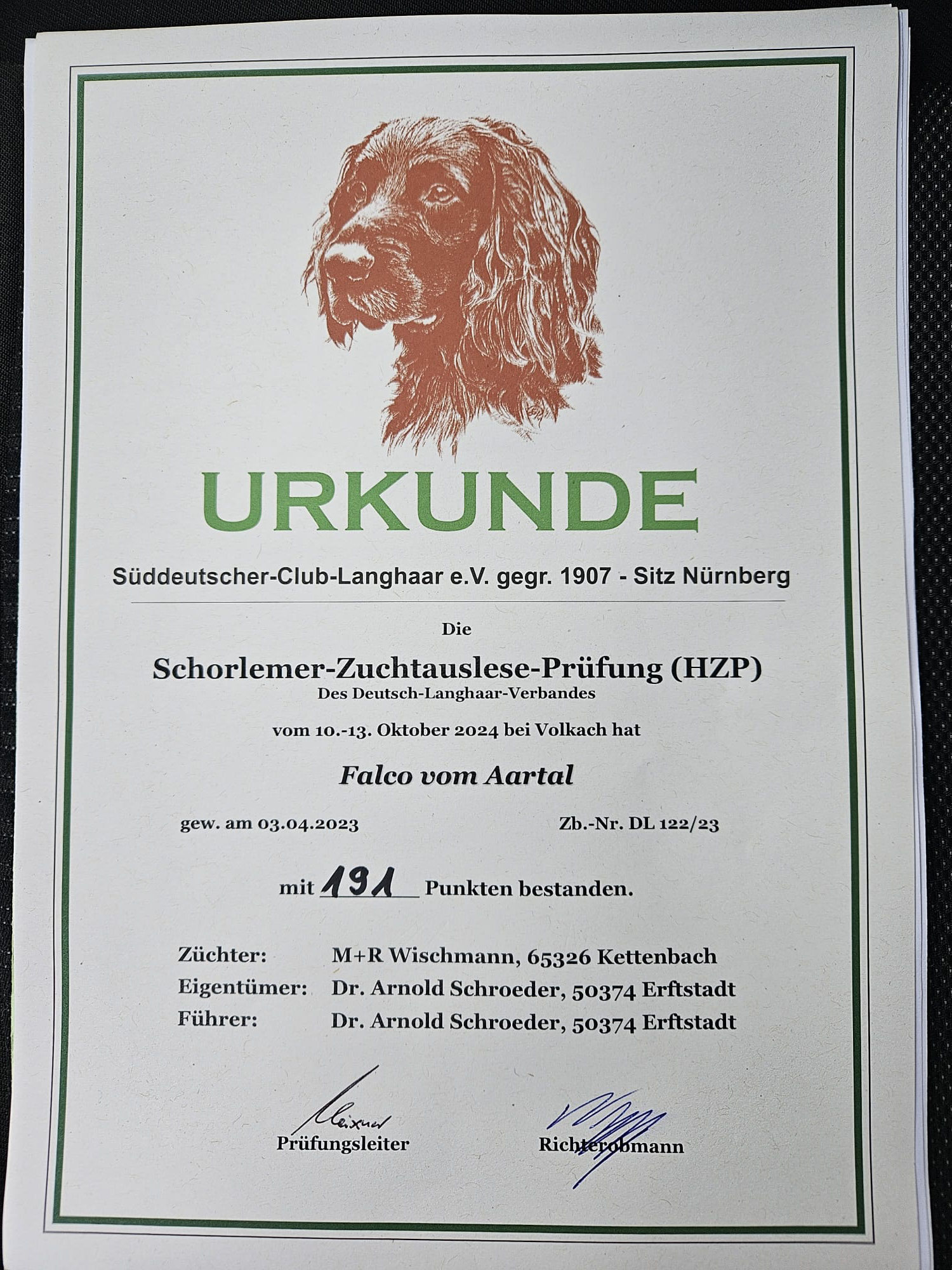 Schorlemer 2024 Falco vom Aaratal