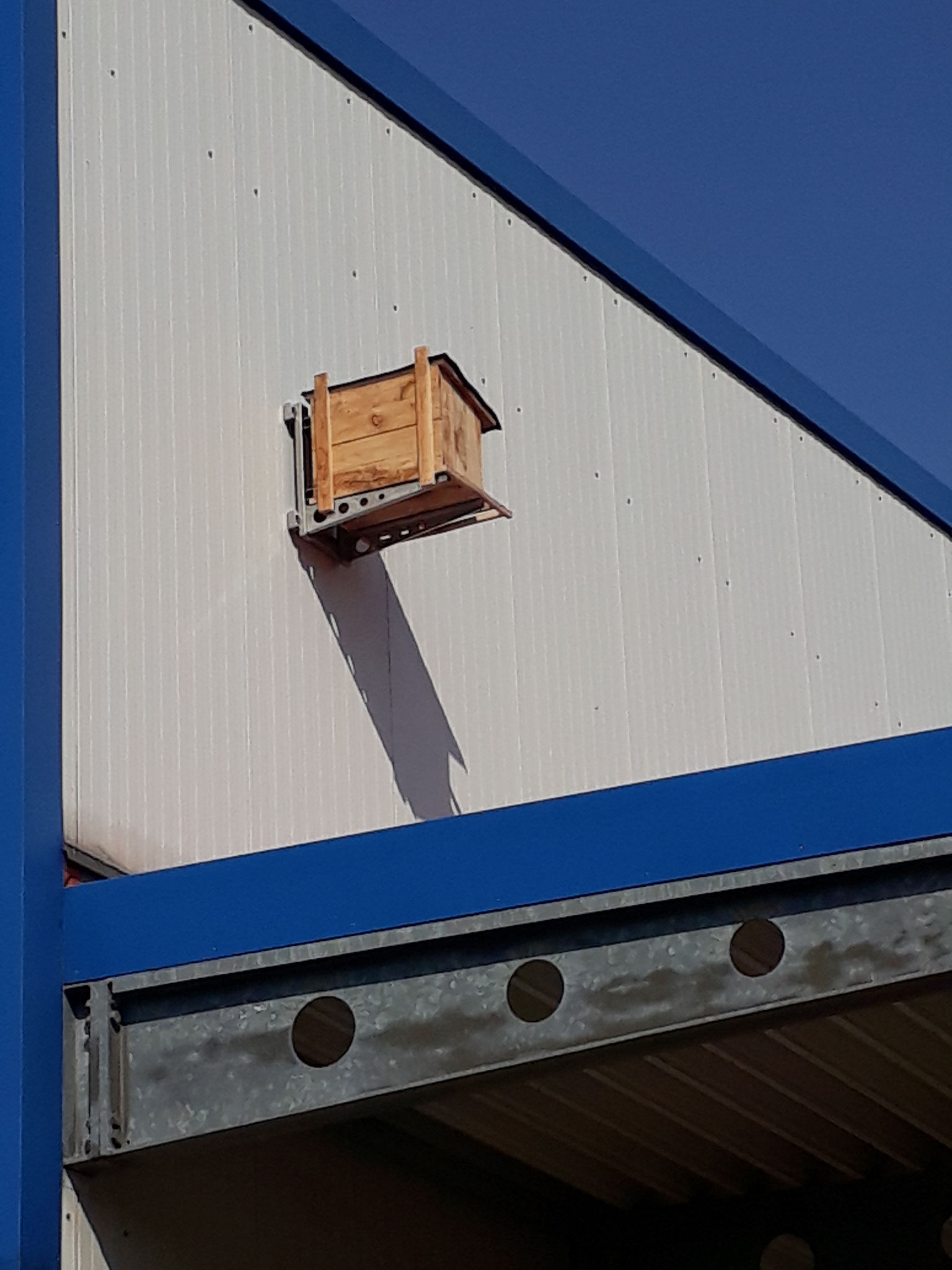 Turmfalken-Nistkasten in Luhden (Foto: J. Auras)