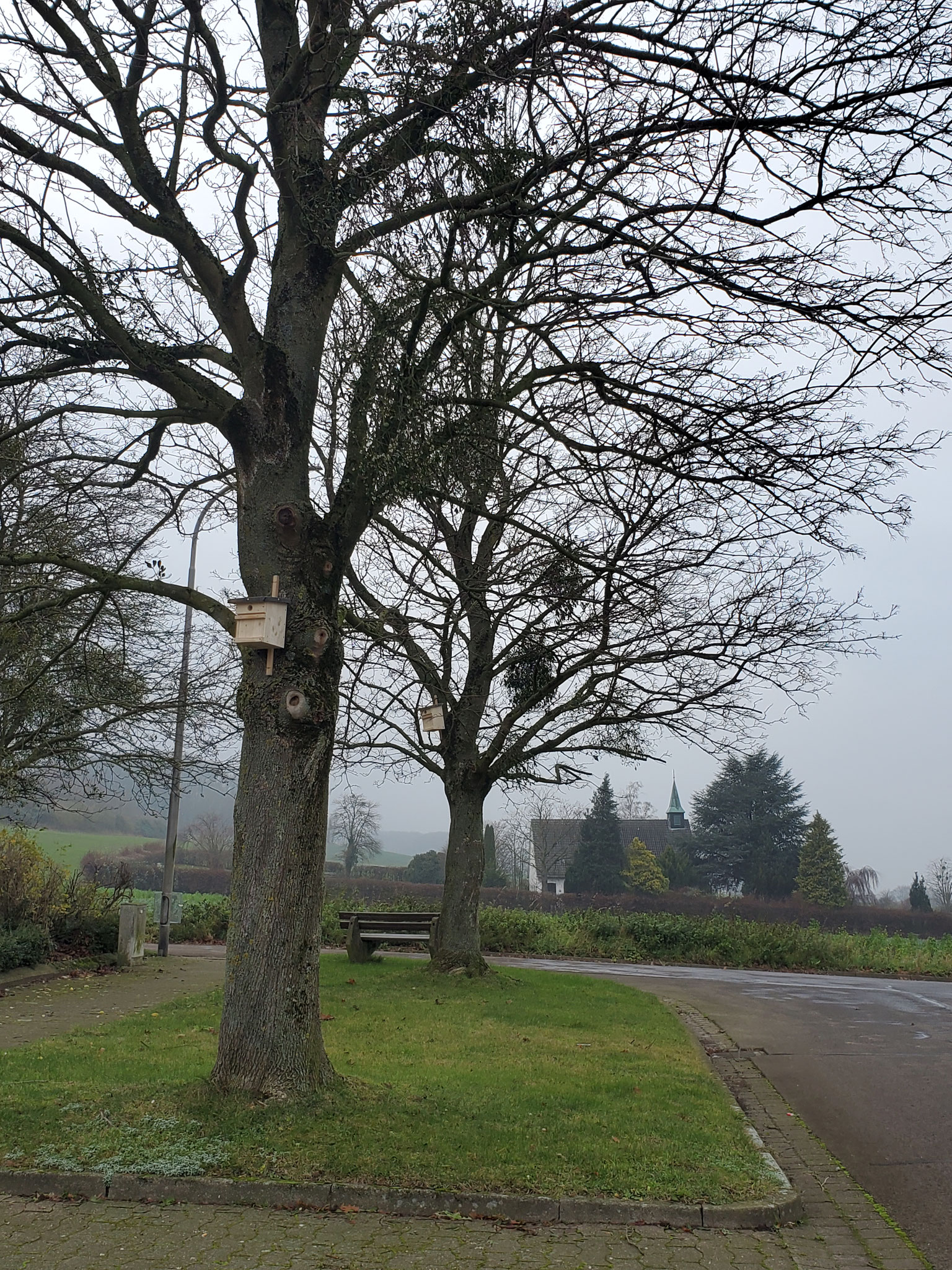 Vogelnistkästen in Luhden (Foto: J. Auras)