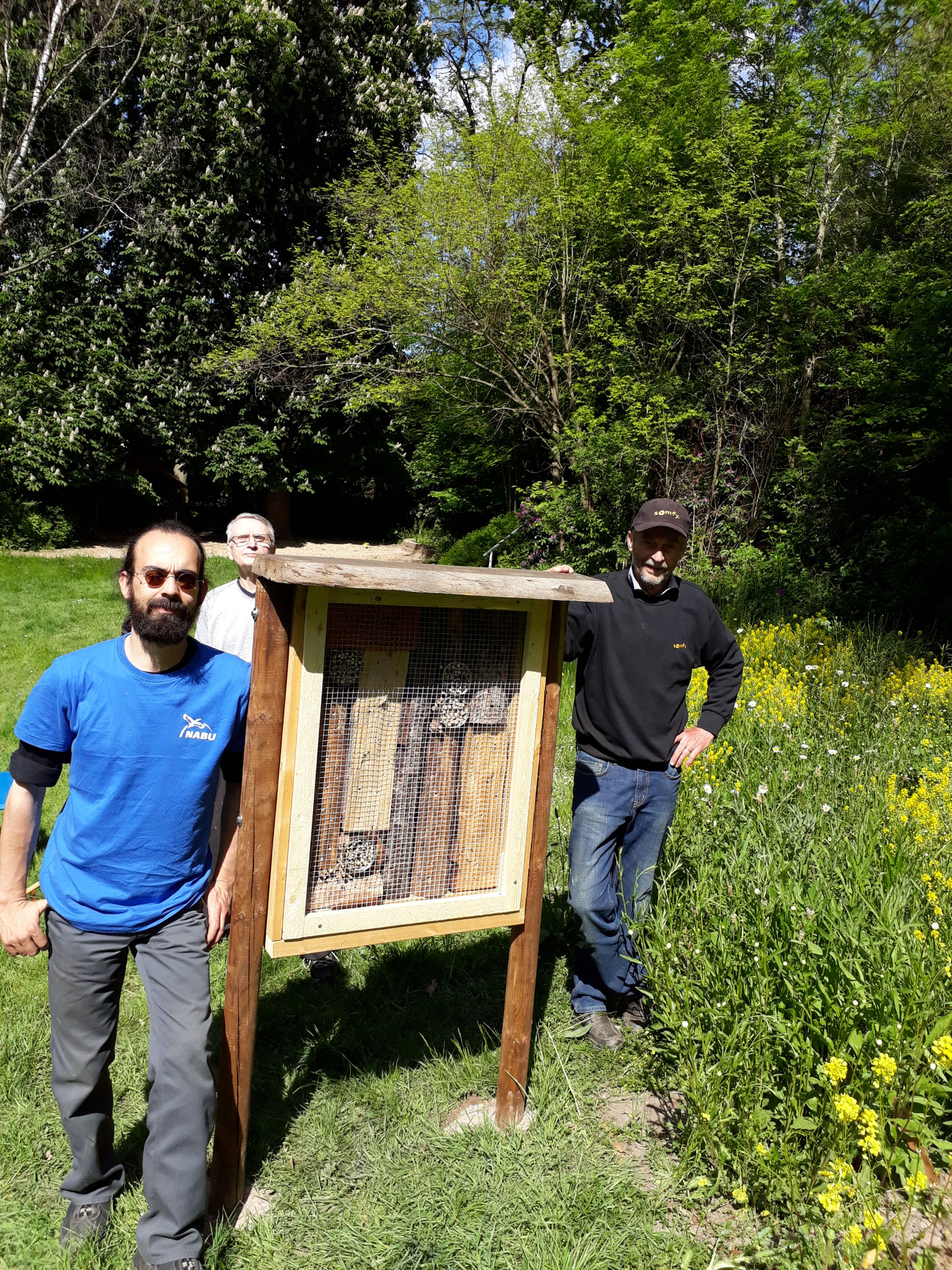 Aufstellen eines Insekten-Hotels im Bergkurpark (Foto: J. Auras)
