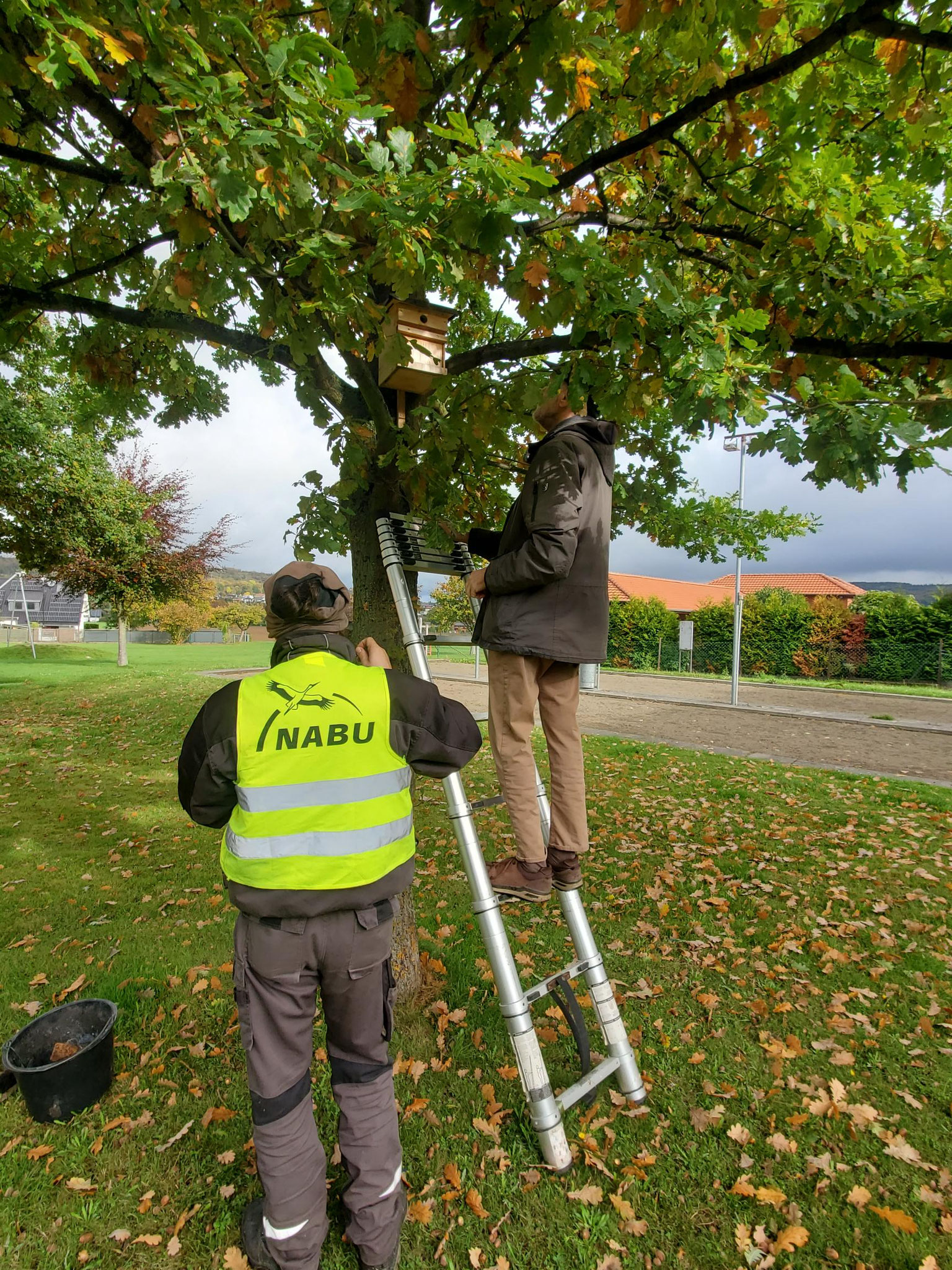 Hausputz bei Familie Meise (Foto: J. Auras)