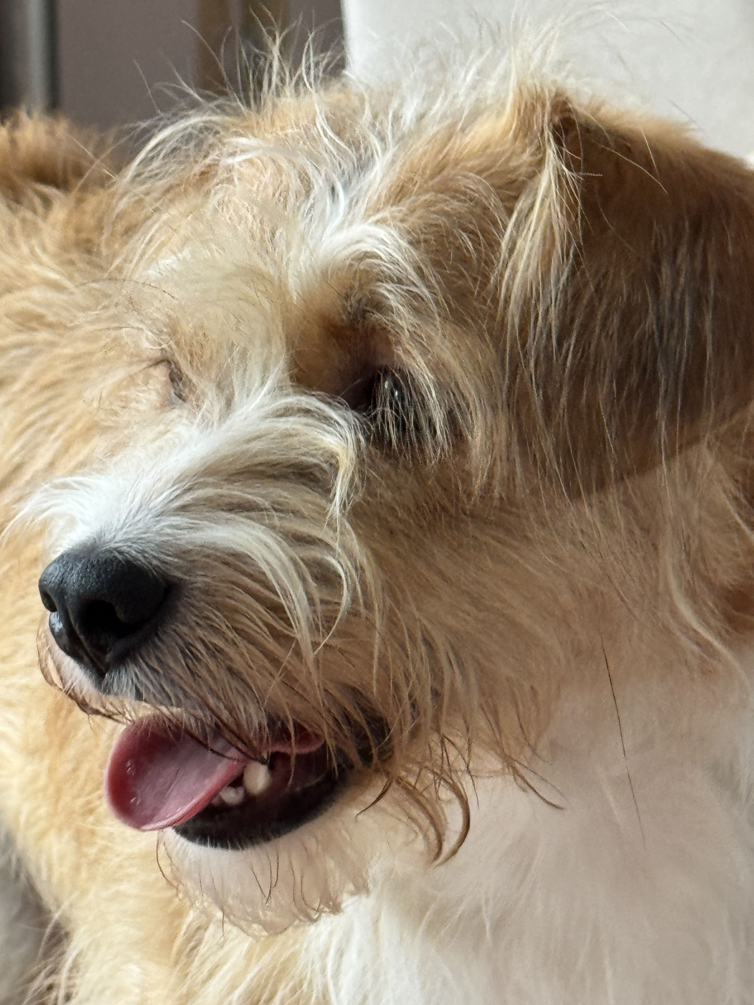 Max Portrait