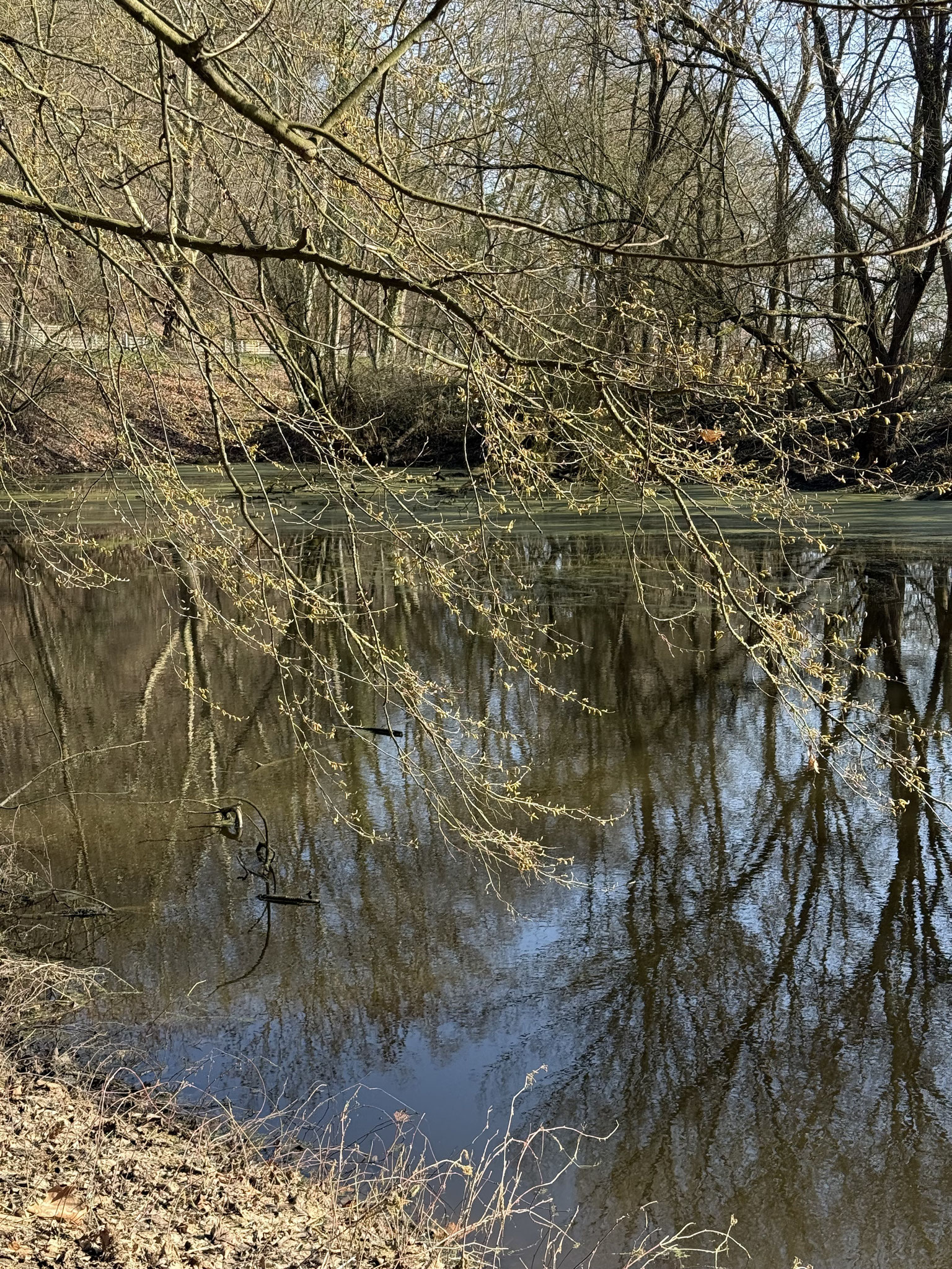 und hier wollen wir rein.