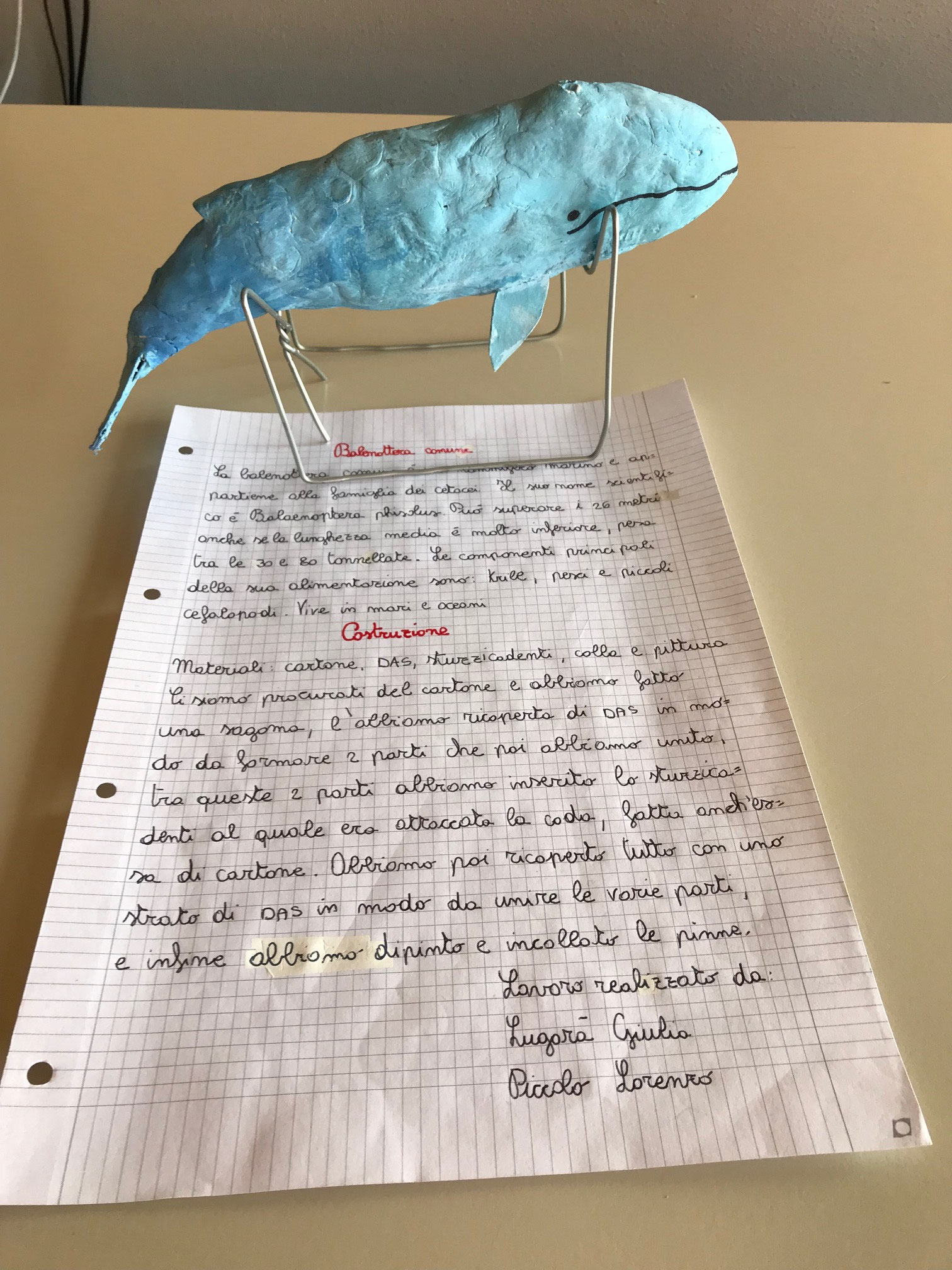 Progetto Linneo: a.s. 2018/2019 Giulia e Lorenzo