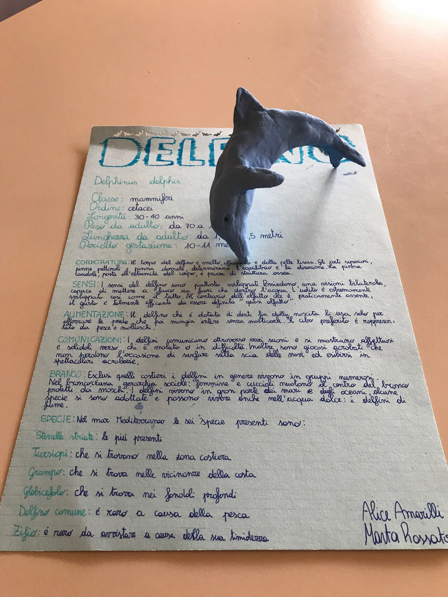 Progetto Linneo: a.s. 2018/2019 Marta e Alice