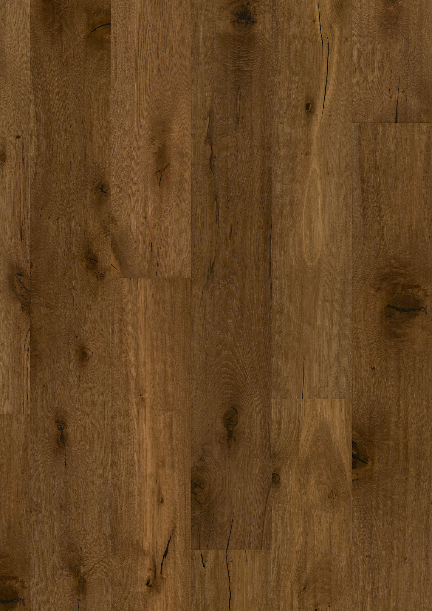 Oak No. 23 - Hampton