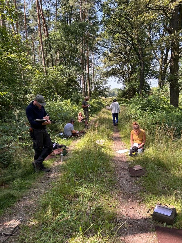 Wildwechsel 2: gemeinsames Journaling und Lernen auf Waldweg