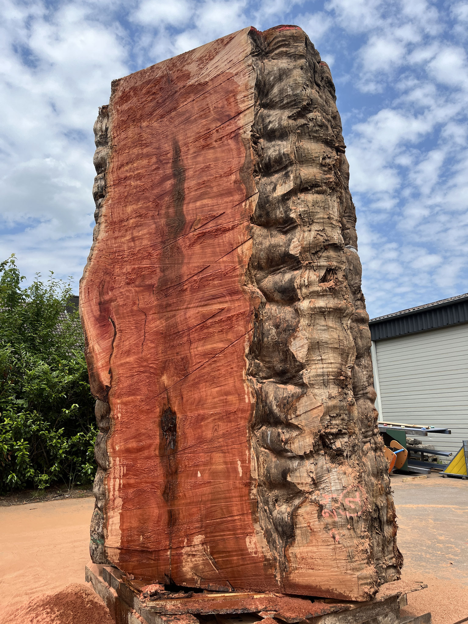 Partly trimmed log
