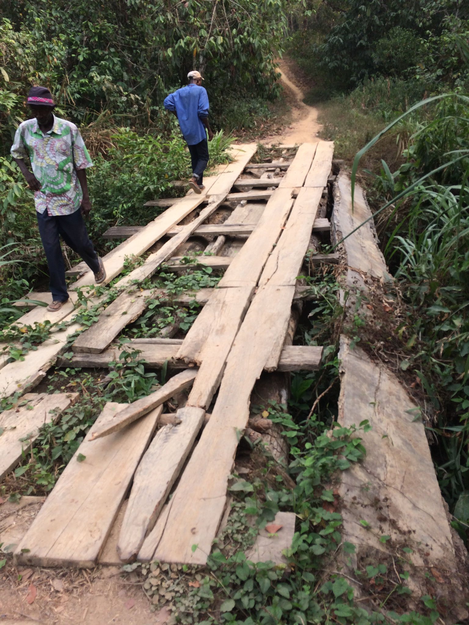 Brücken auf dem Weg nach Konjorlloe und in andere Dörfer sind oft gefährliche Hürden. Mithilfe von Geldern der Liberia Freunde werden sie regelmäßig ausgebessert und repariert. 