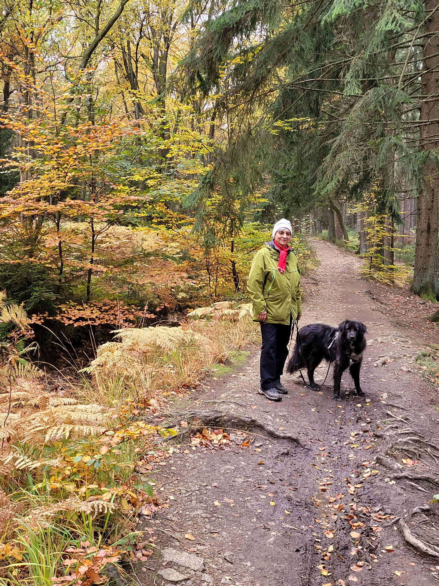 Die Umwanderung