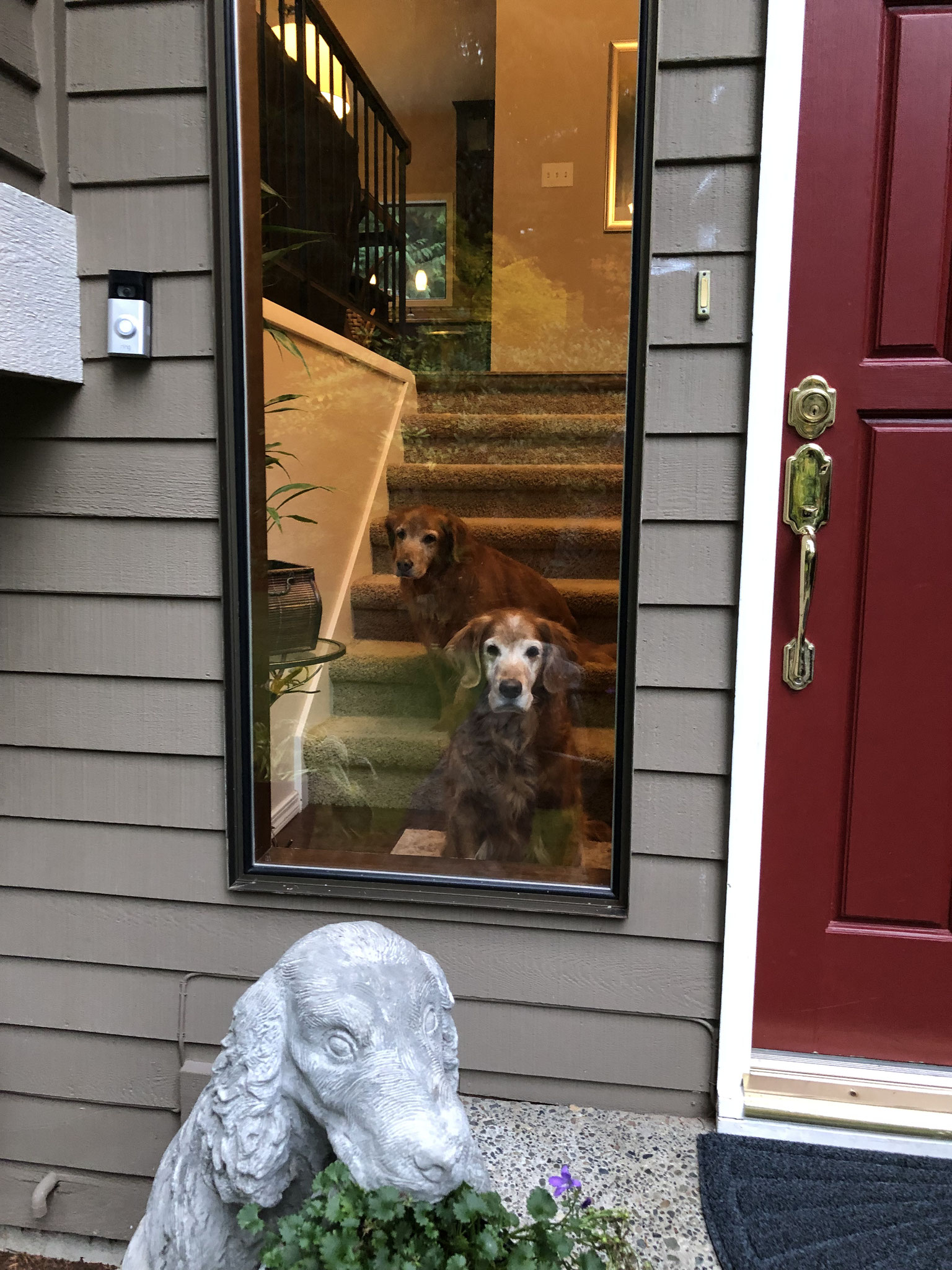Waiting at the door