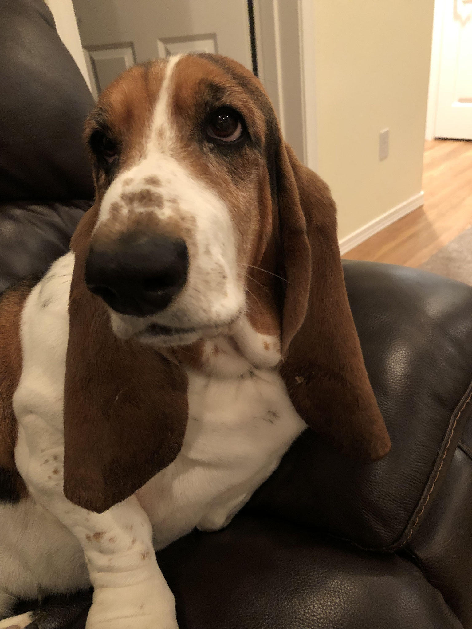 Harper grew up too!