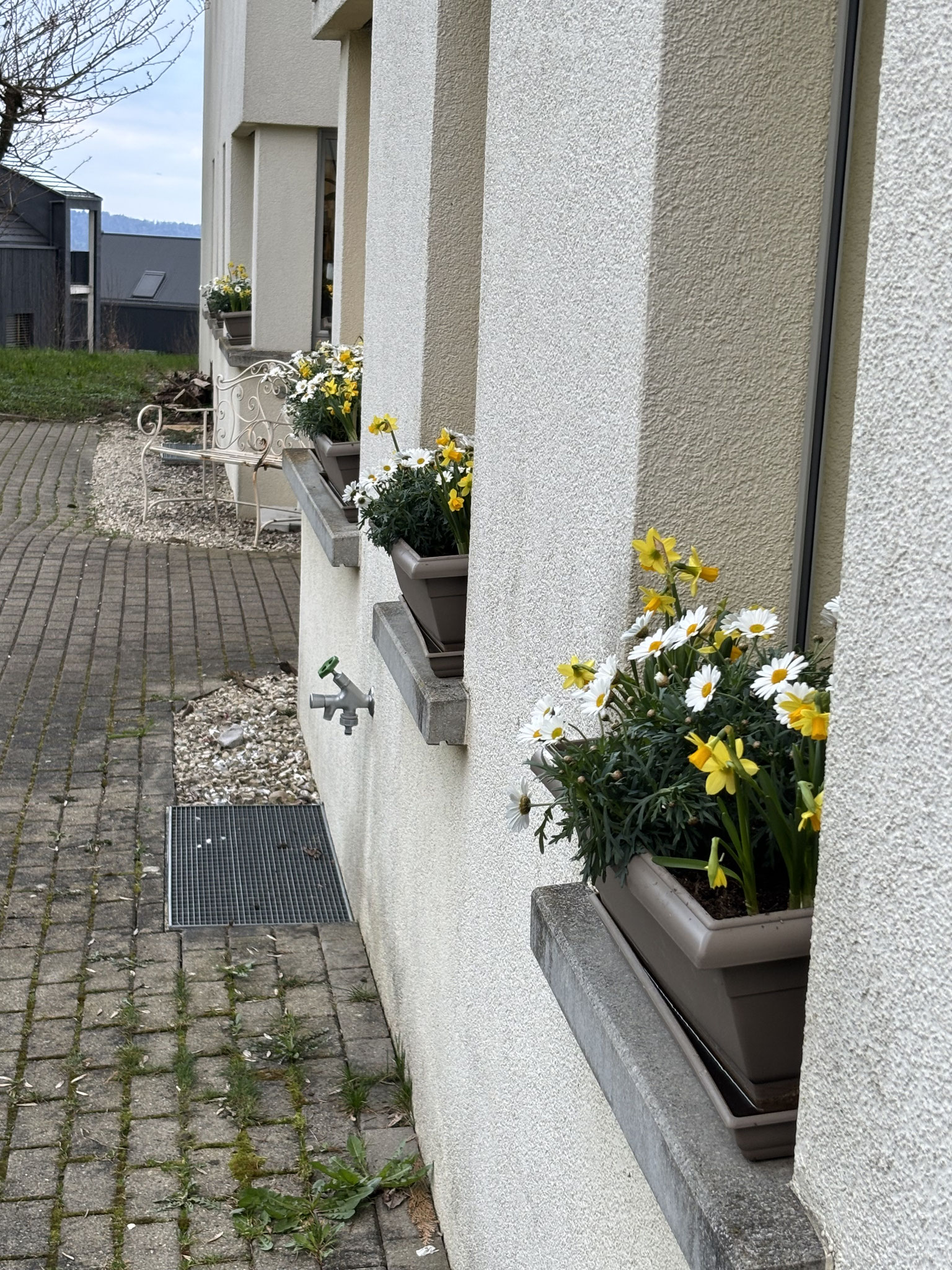 Frühling