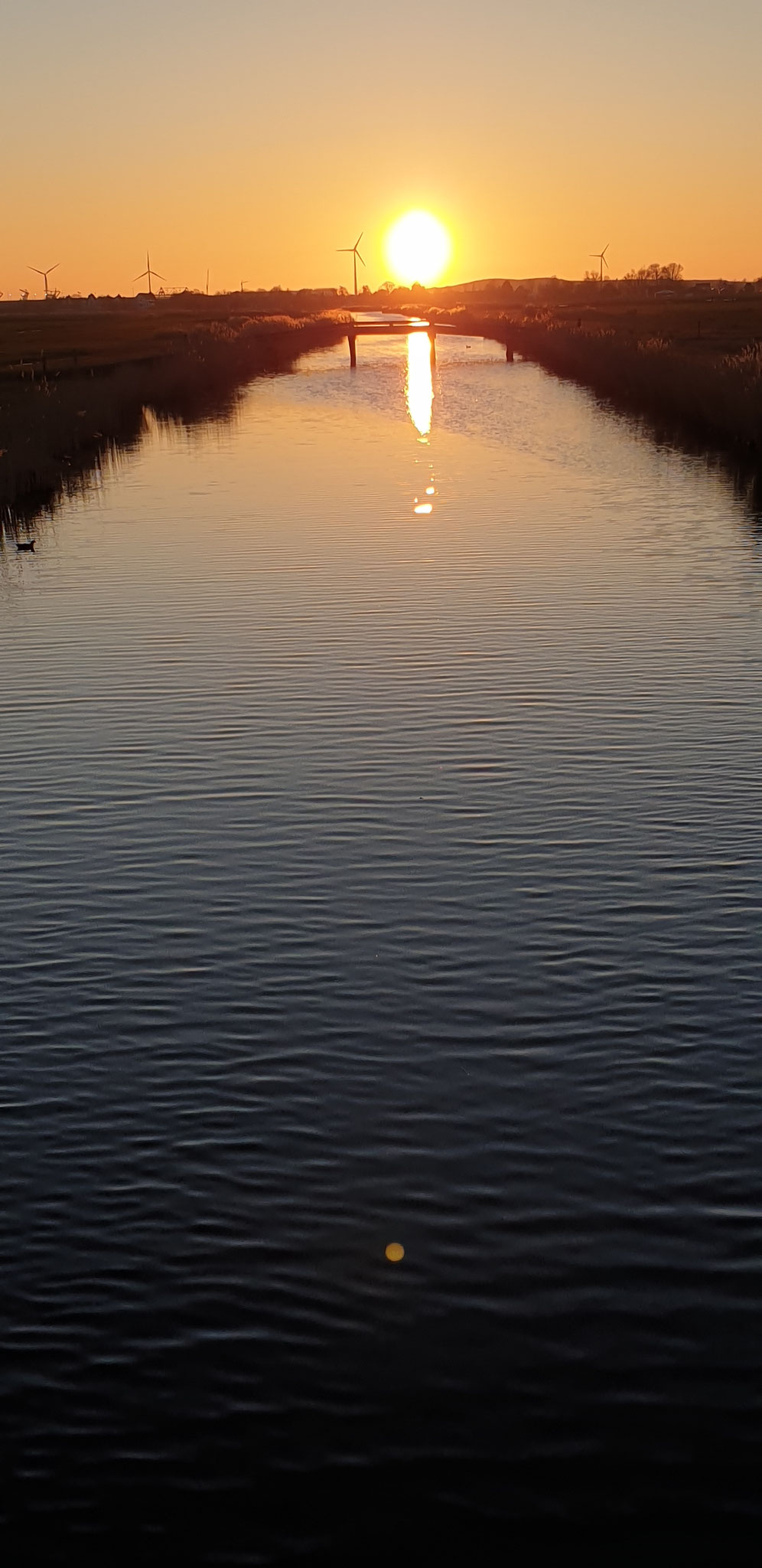 1/3 Avondwandeling