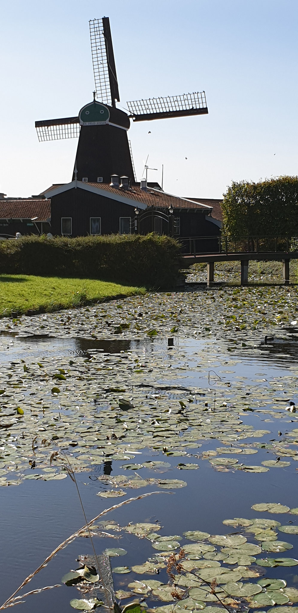 18/9: lunch wandeling 