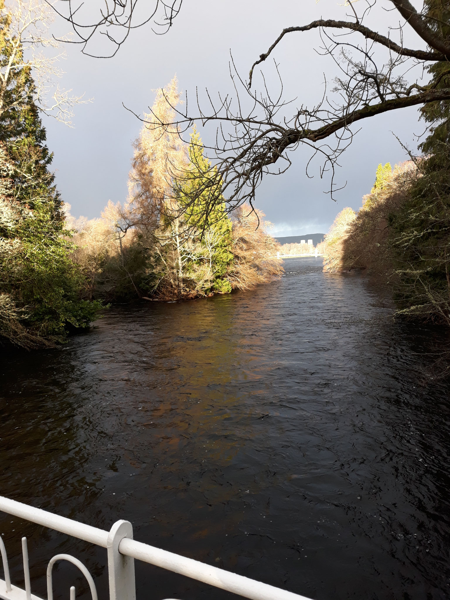 Band 3 - River Ness (vom Loch Ness) Der: ruhig fließend, aber voller Geschichten – von Loch Ness bis mitten in die Highlands.