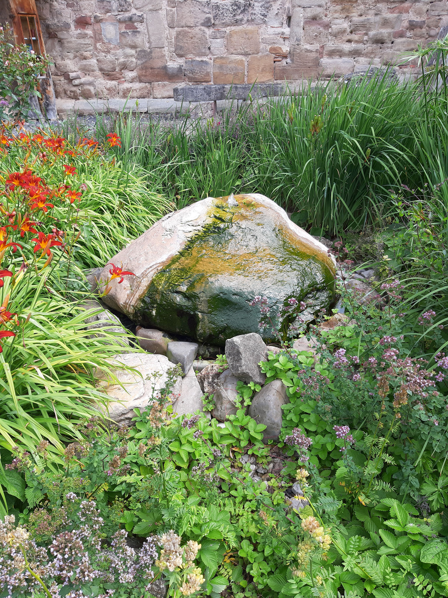 Bibelgarten am Friedhof in Bad Sooden-Allendorf