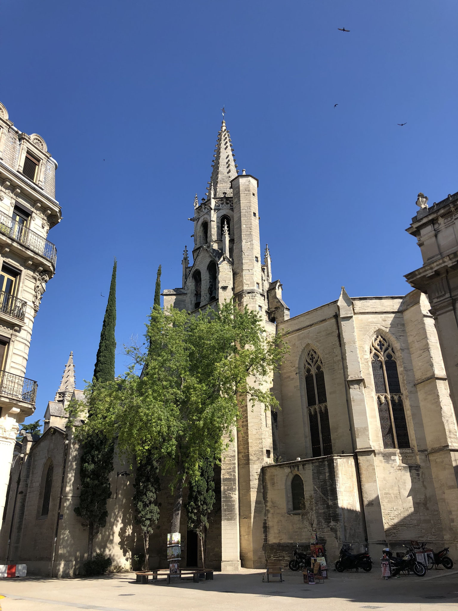 Avignon@tiegel-reisen.de