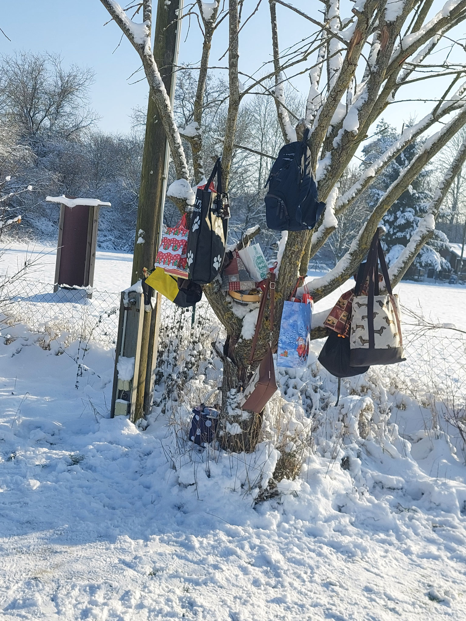 der Weihnachtsbaum mal anders 