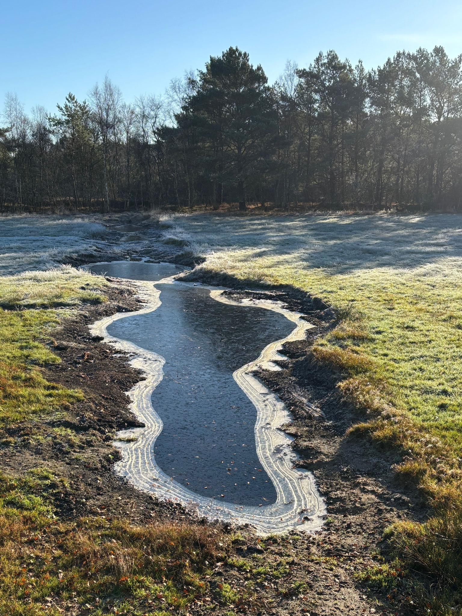 Foto: Jürgen Röper