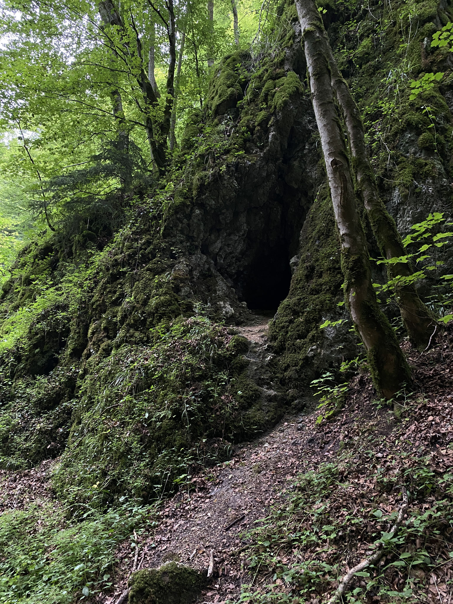 Höhle und Fledermausquartier in der Trailfinger Schlucht. - Foto: NABU/T. Ayoub