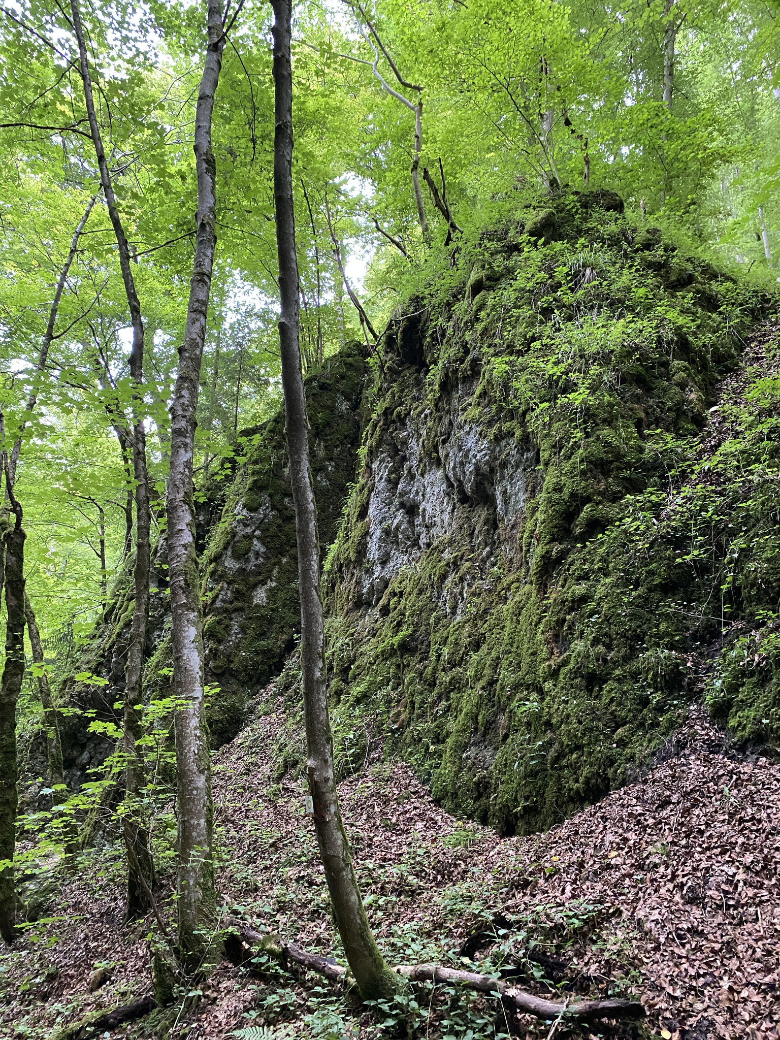 Felsformationen in der Trailfinger Schlucht. - Foto: NABU/T. Ayoub