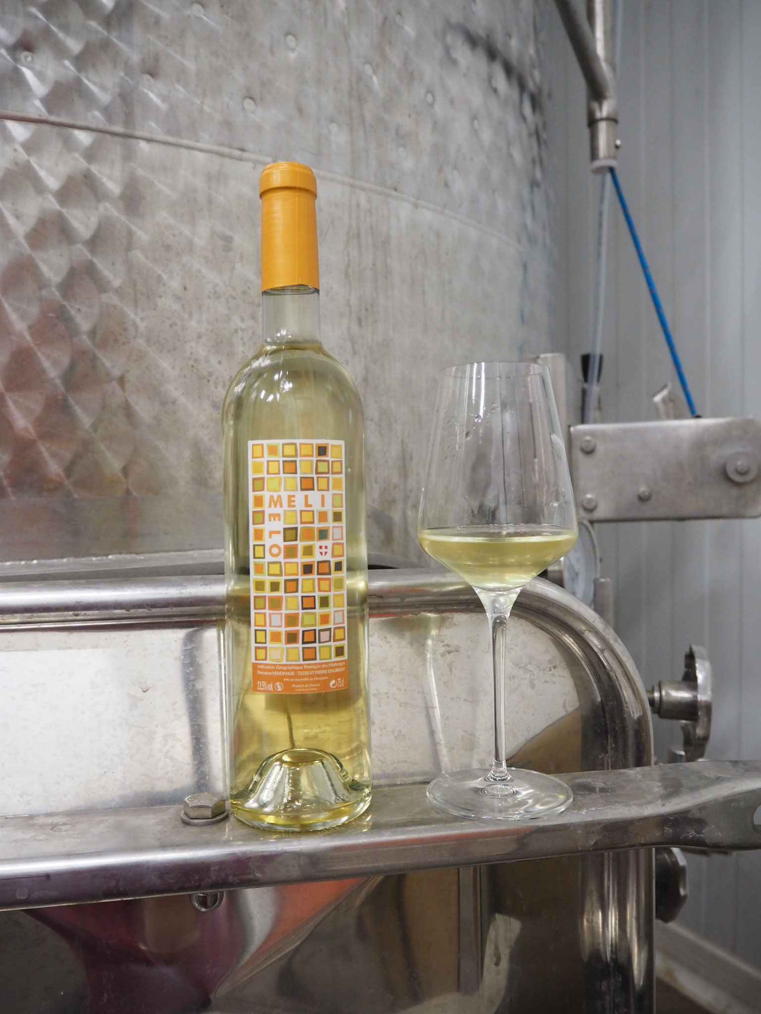 Producer of Savoie wines Domaine Vendange, vin de Savoie