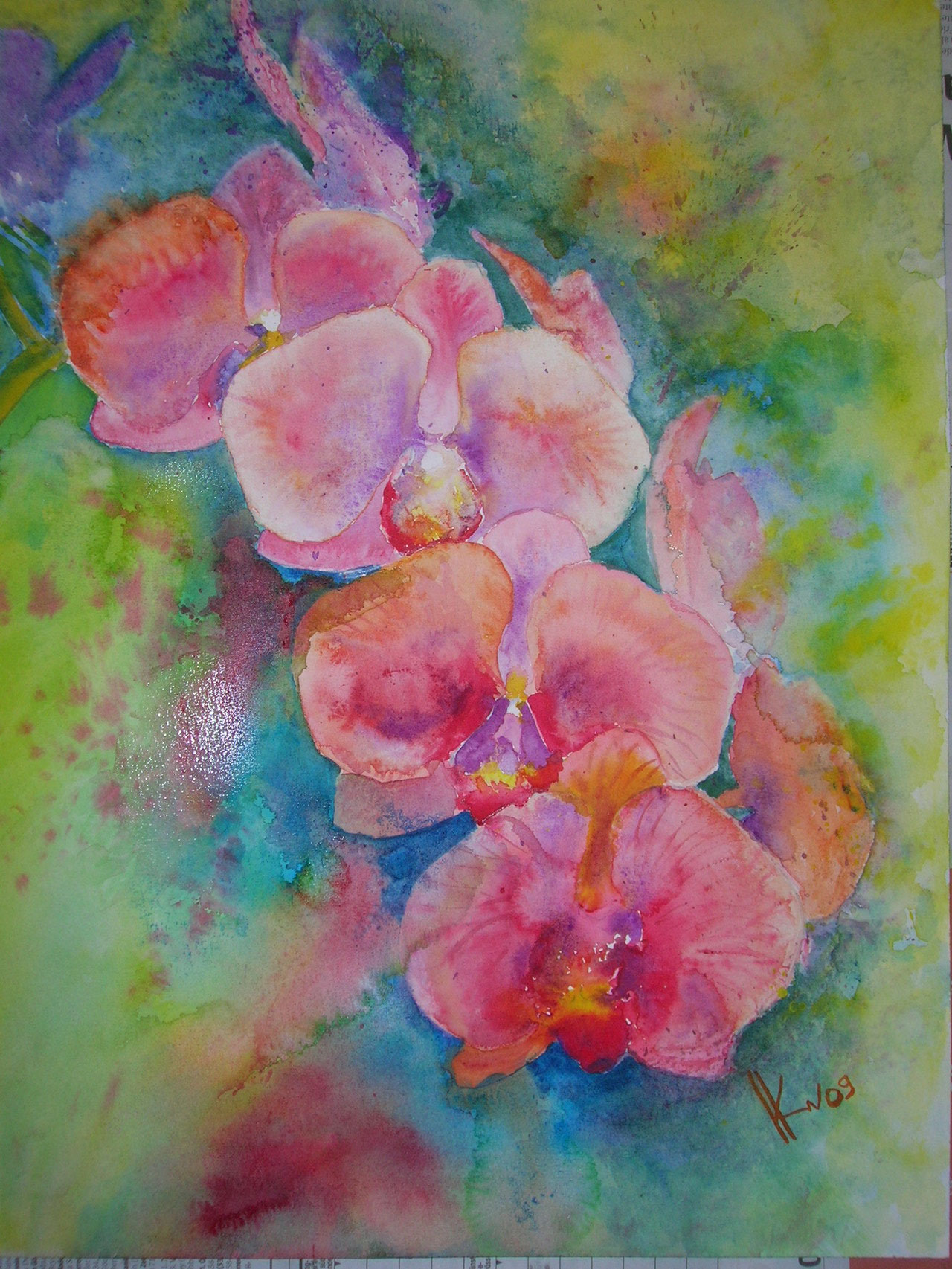 Orchidee vk