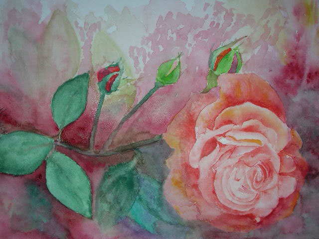 Rose vk