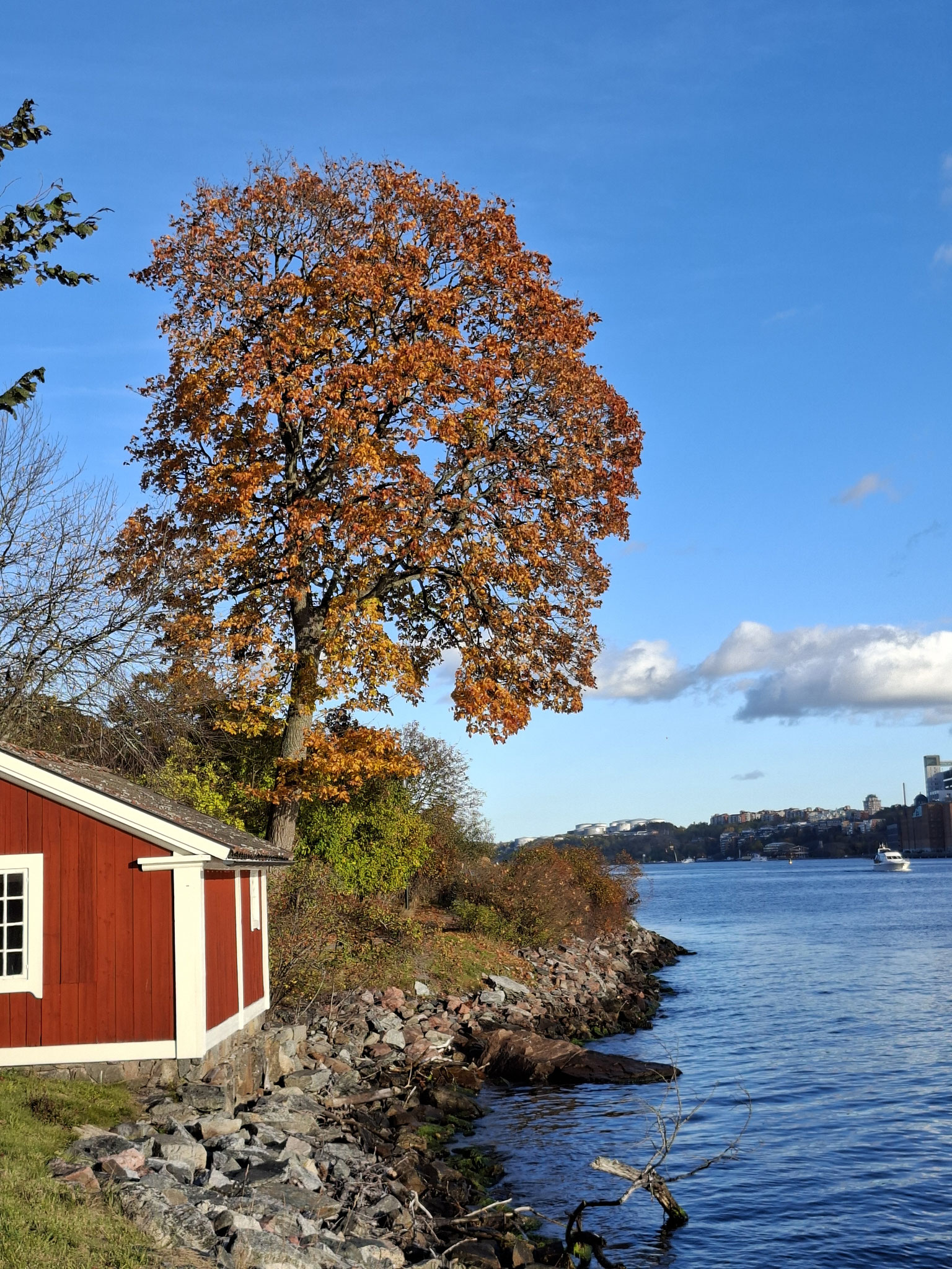 Blick auf ein Schwedenhäuschen auf der Insel Djurgården.