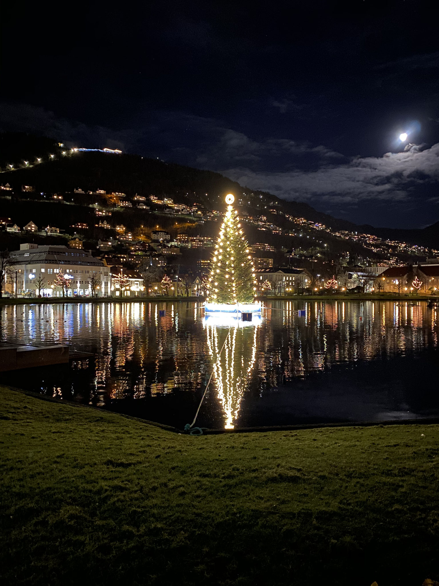 Weihnachtszeit in Bergen: Ein großer Weihnachtsbaum wird jedes Jahr im Stadtpark geschmückt