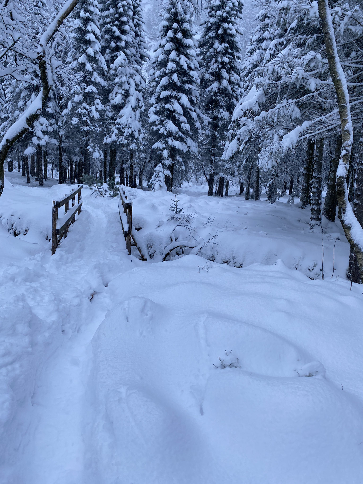 Die Wanderungen im Winter bestritten die Praktikanten bei teilweise hüfthohem Schnee