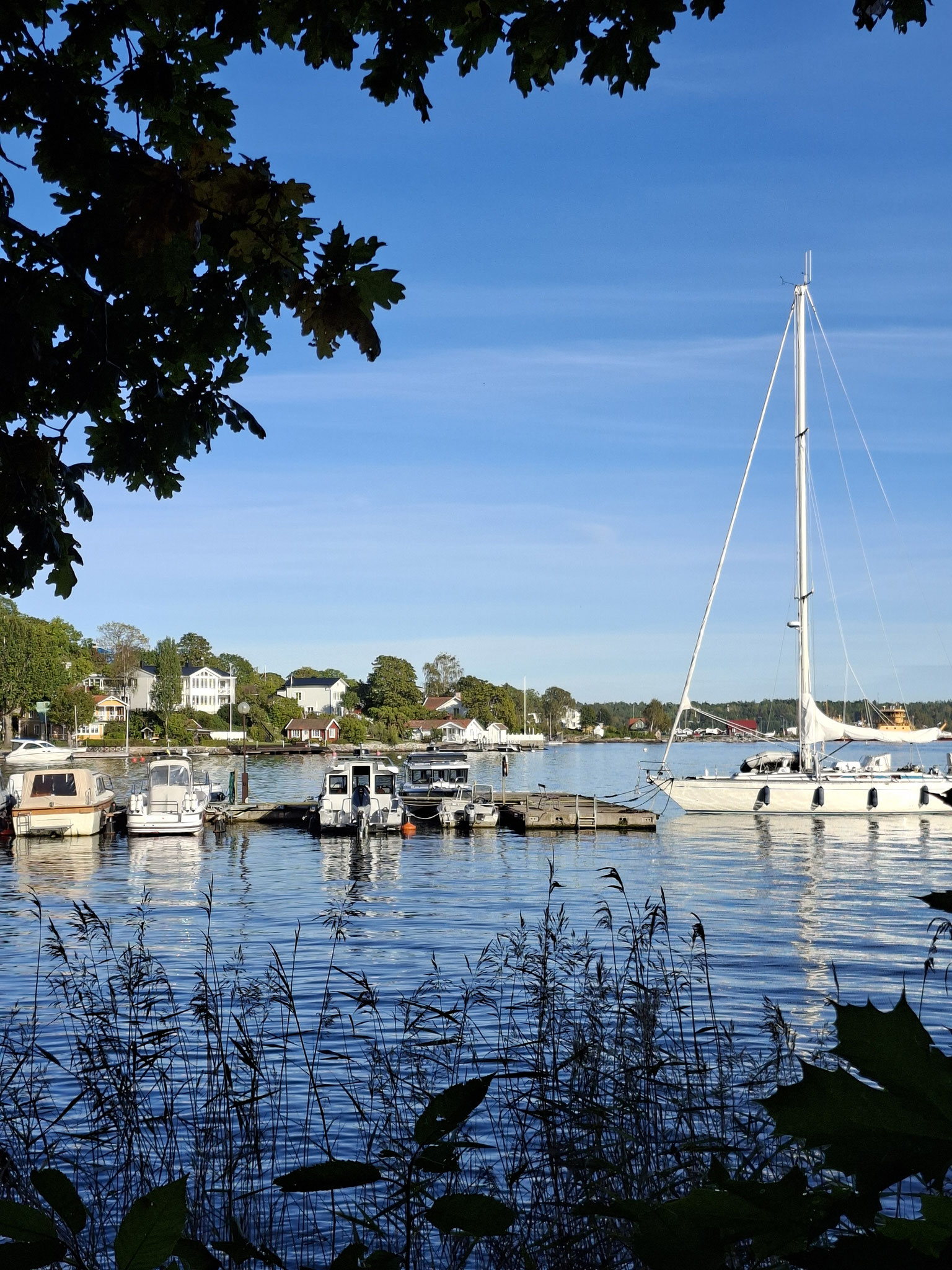 Sicht auf einen Bootsanleger auf der Insel Waxholm im stockholmer Schärengarten.