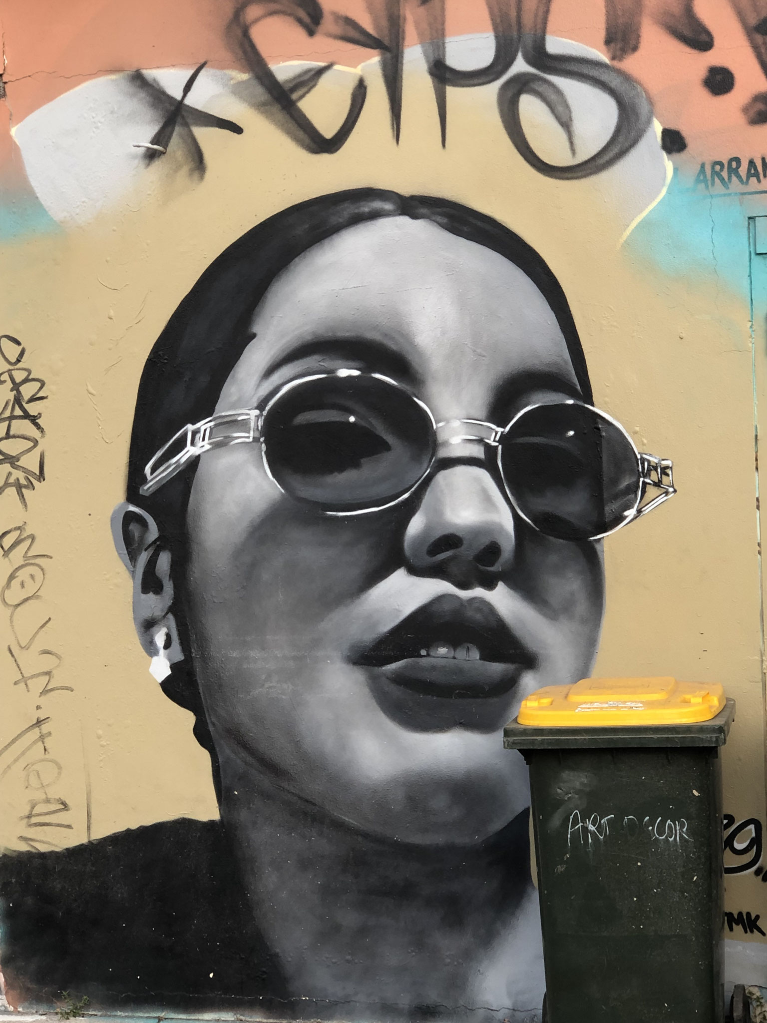 Street Art im Zentrum von Darwin