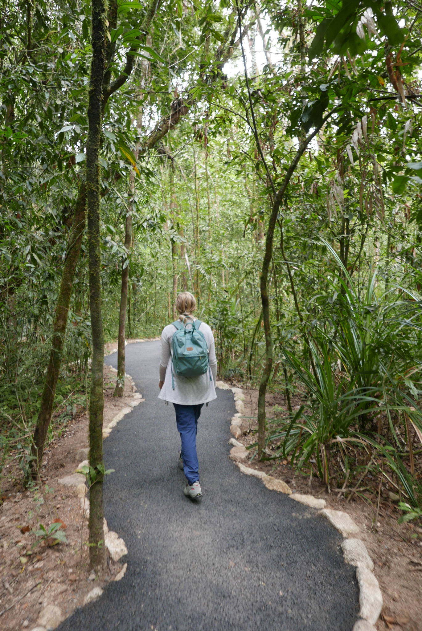 Boardwalk beim Mossman Gorge