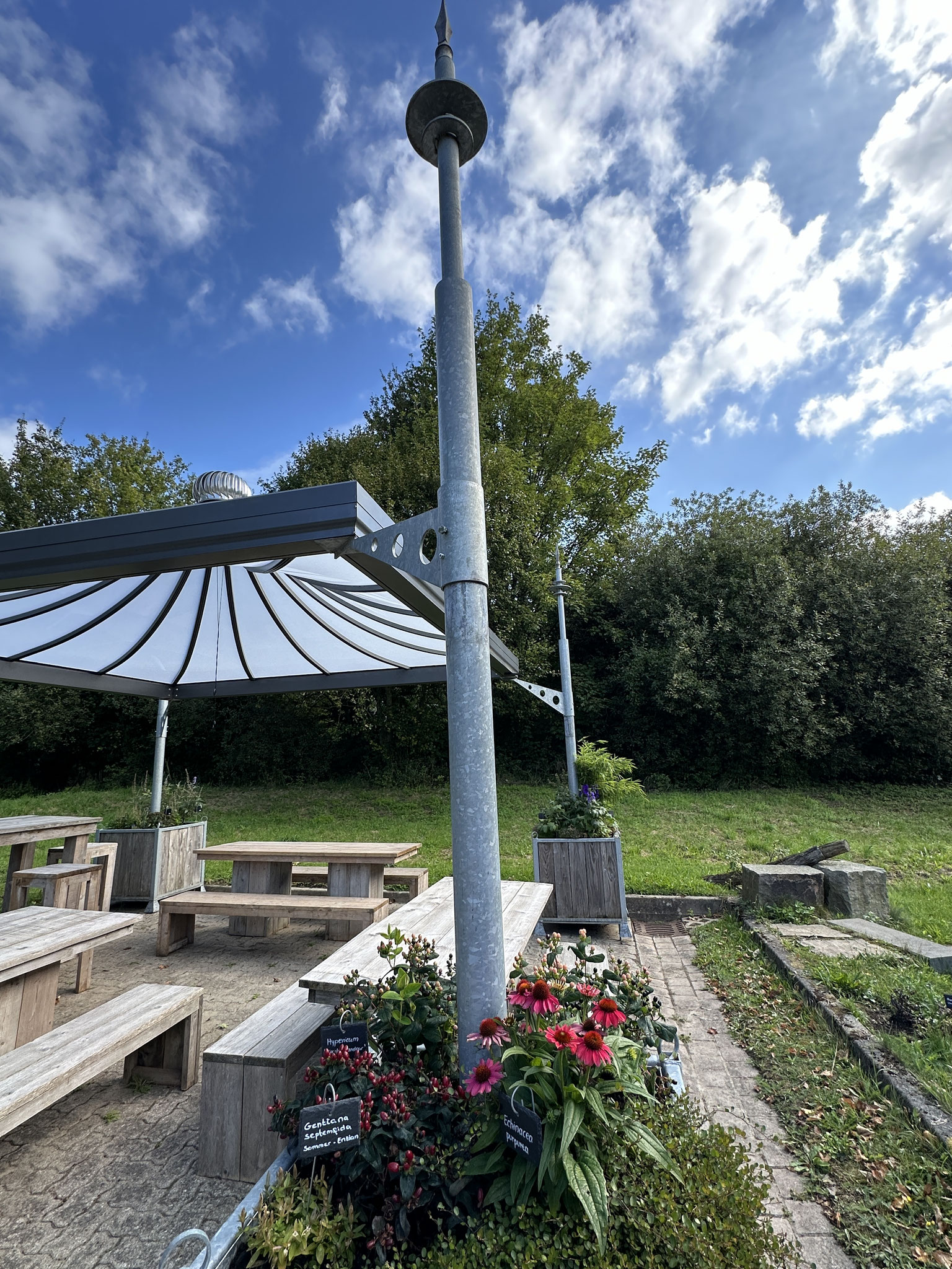 Der Sonnenhut am neuen Pausen-Pavillon