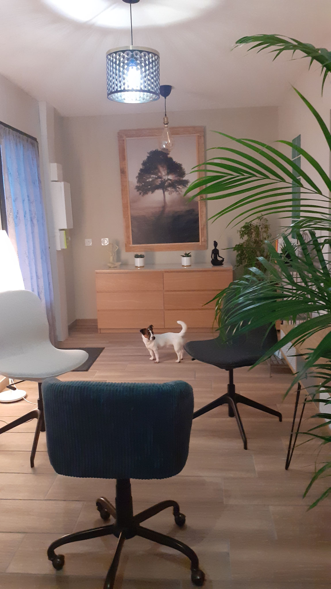 L'ESPACE SOPHROLOGIE